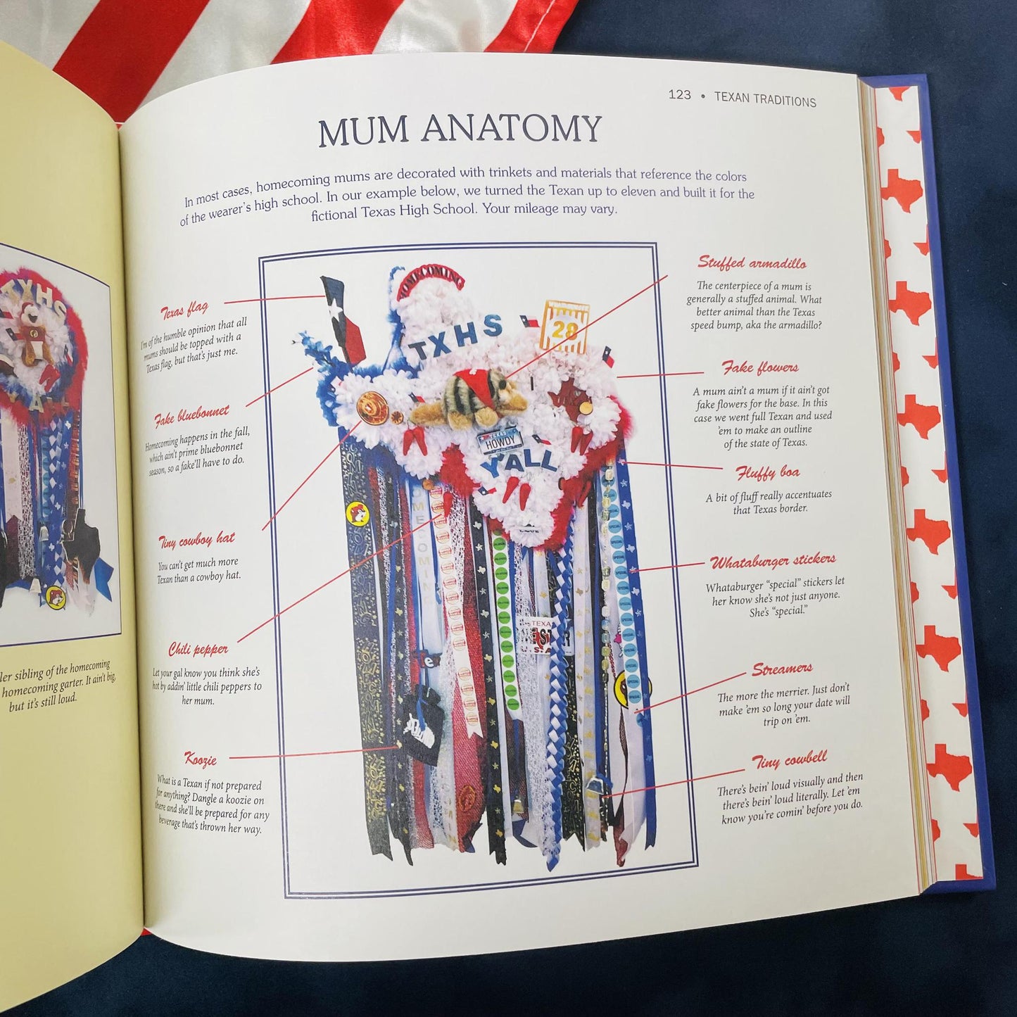 Y'all: the Definitive Guide To Being A Texan