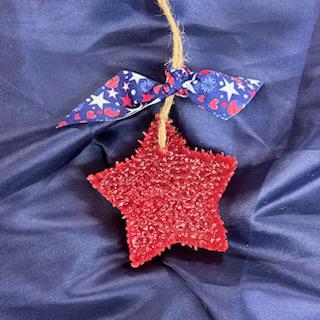 Volcano Freshie- Star- Funky Freshie