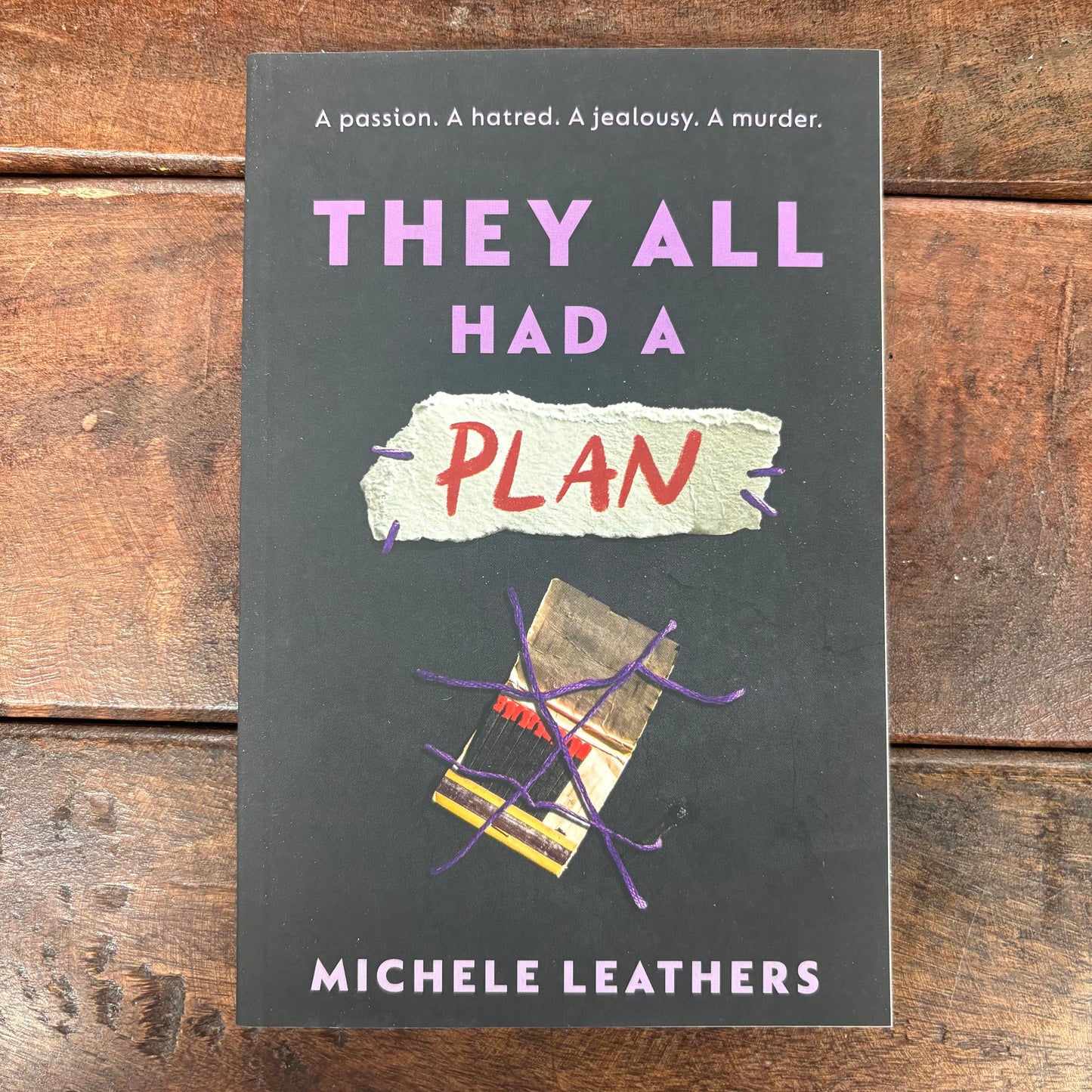 They All Had A Plan - Michele Leathers - Sourcebooks