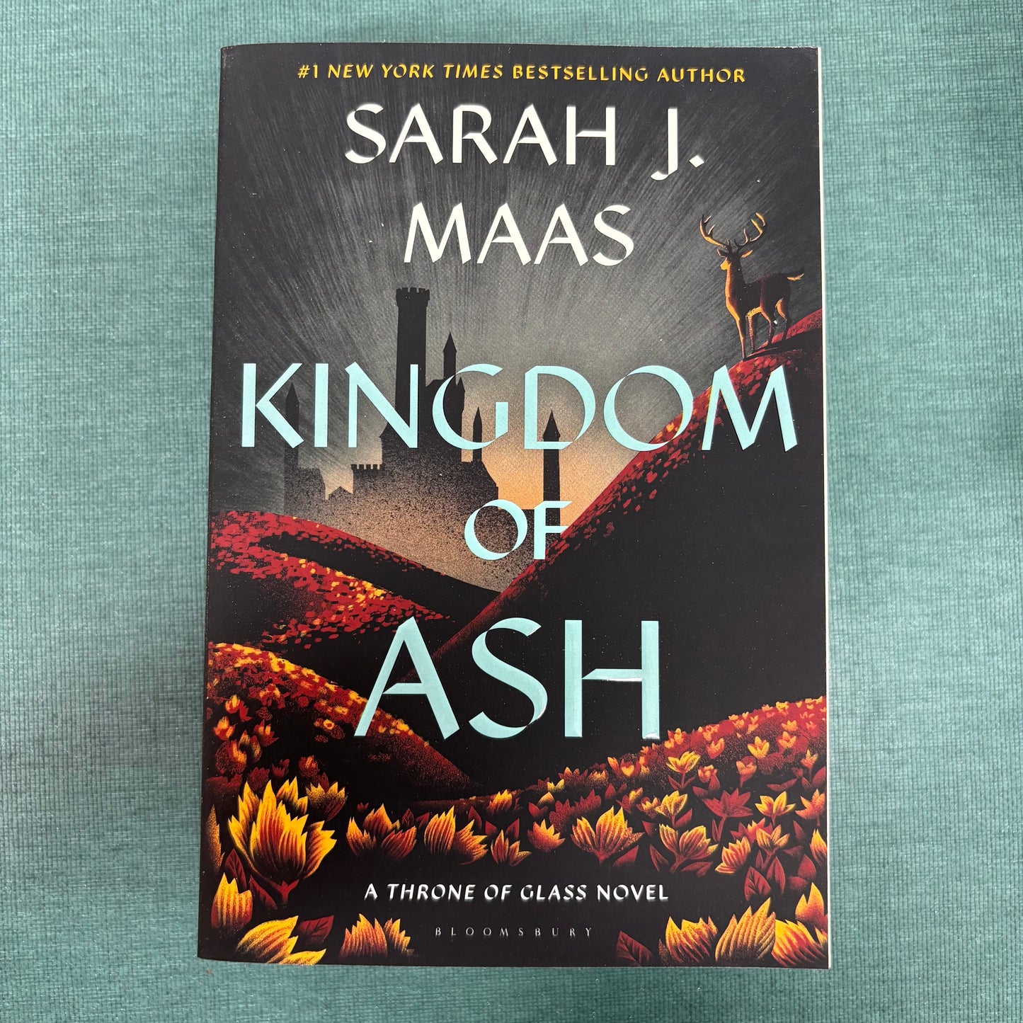 Kingdom Of Ash - Sarah J. Maas - Macmillan Publishers