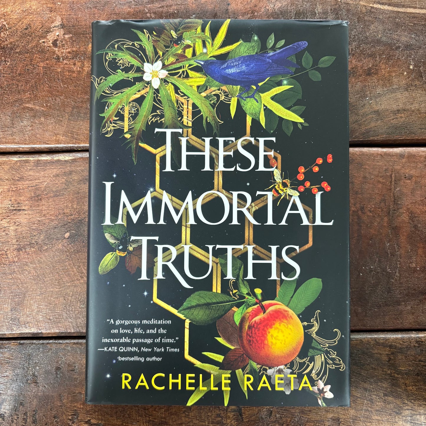 These Immortal Truths - Rachel Raeta - Macmillan Publishers