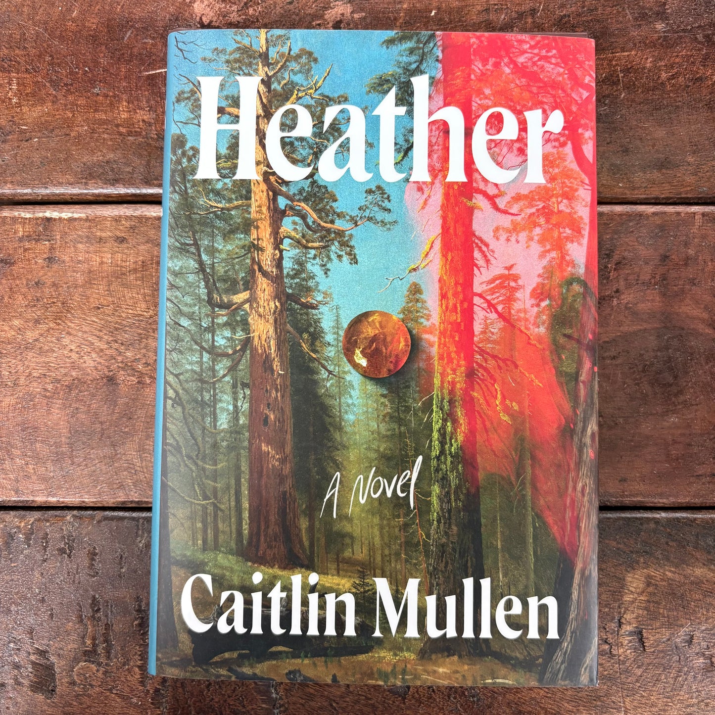 Heather - Caitlin Mullen - Macmillan Publishers