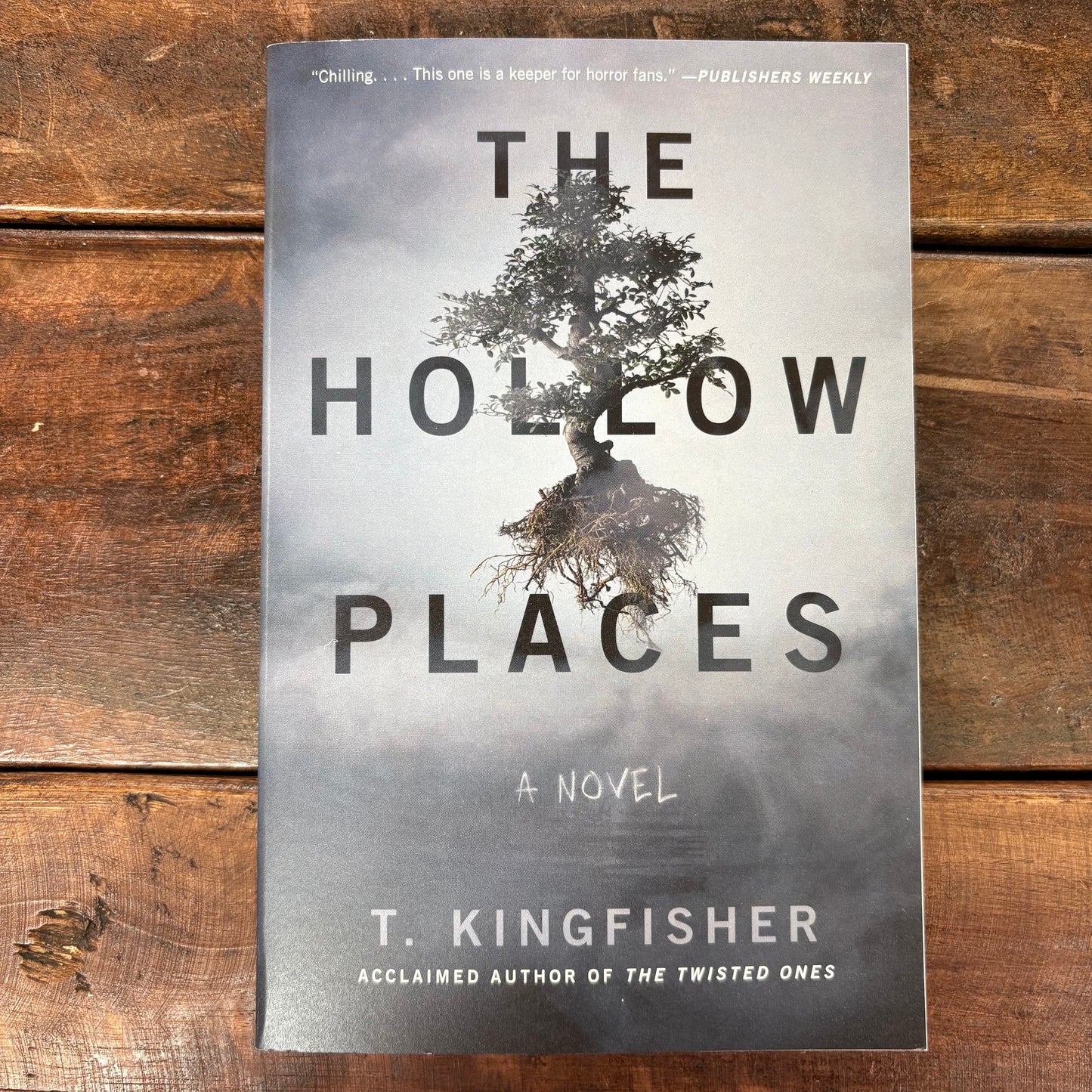 Hollow Places - T. Kingfisher - Simon and Schuster