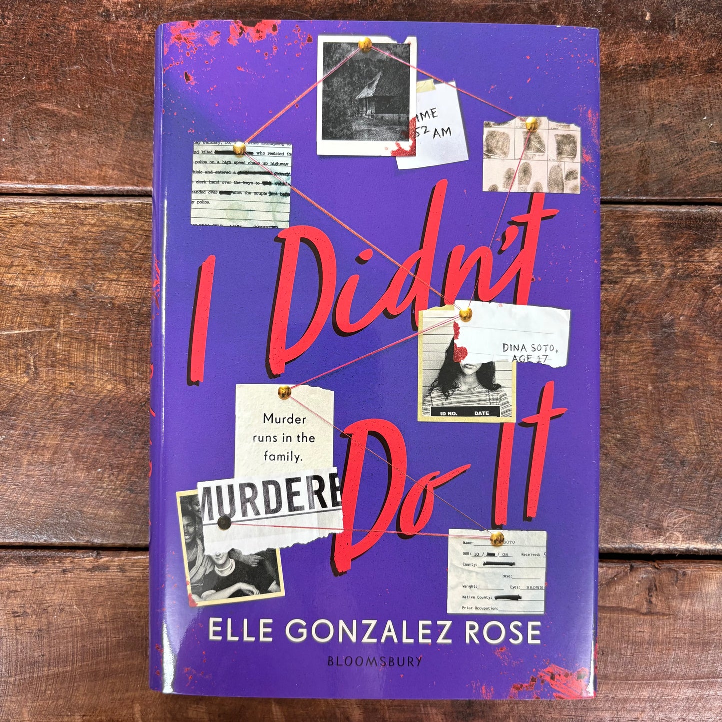I Didn't Do It - Elle Gonzalez Rose - Macmillan Publishers