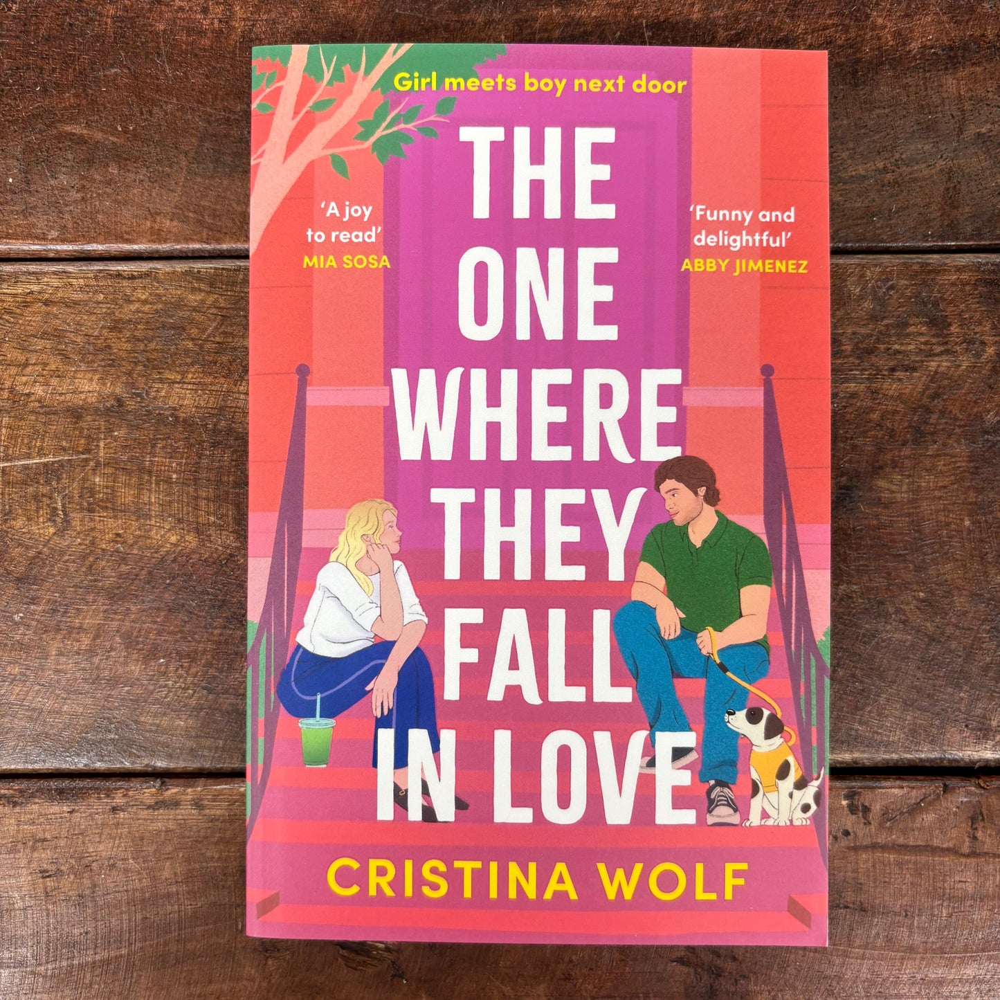 The One Where They Fall In Love - Christina Wolf - Macmillan Publishers