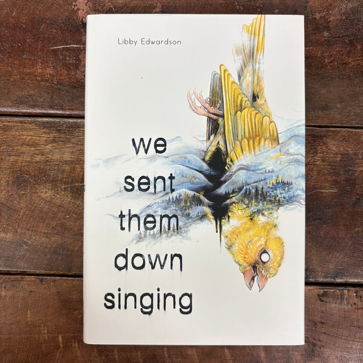 We Sent Them Down Singing - Libby Edwardson - Macmillan Publishers