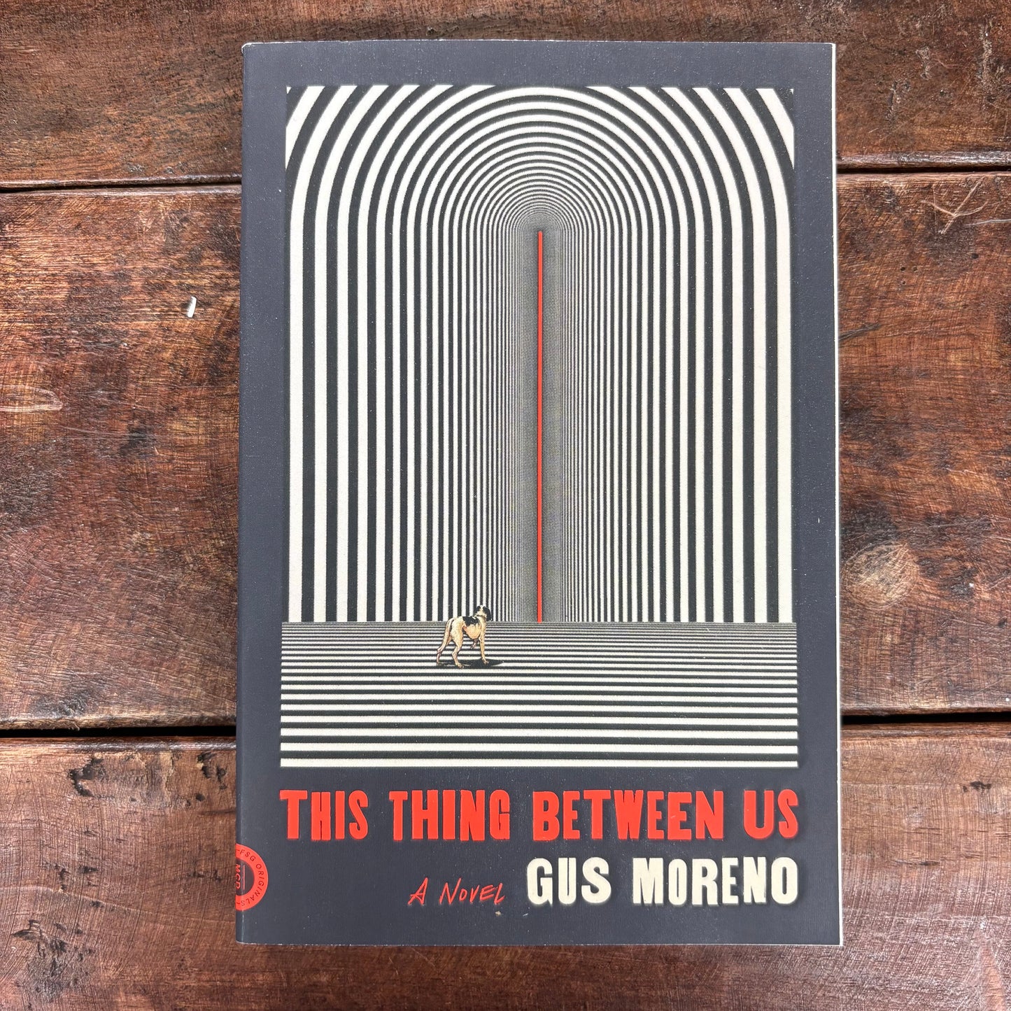 This Thing Between Us - Gus Moreno - Macmillan Publishers