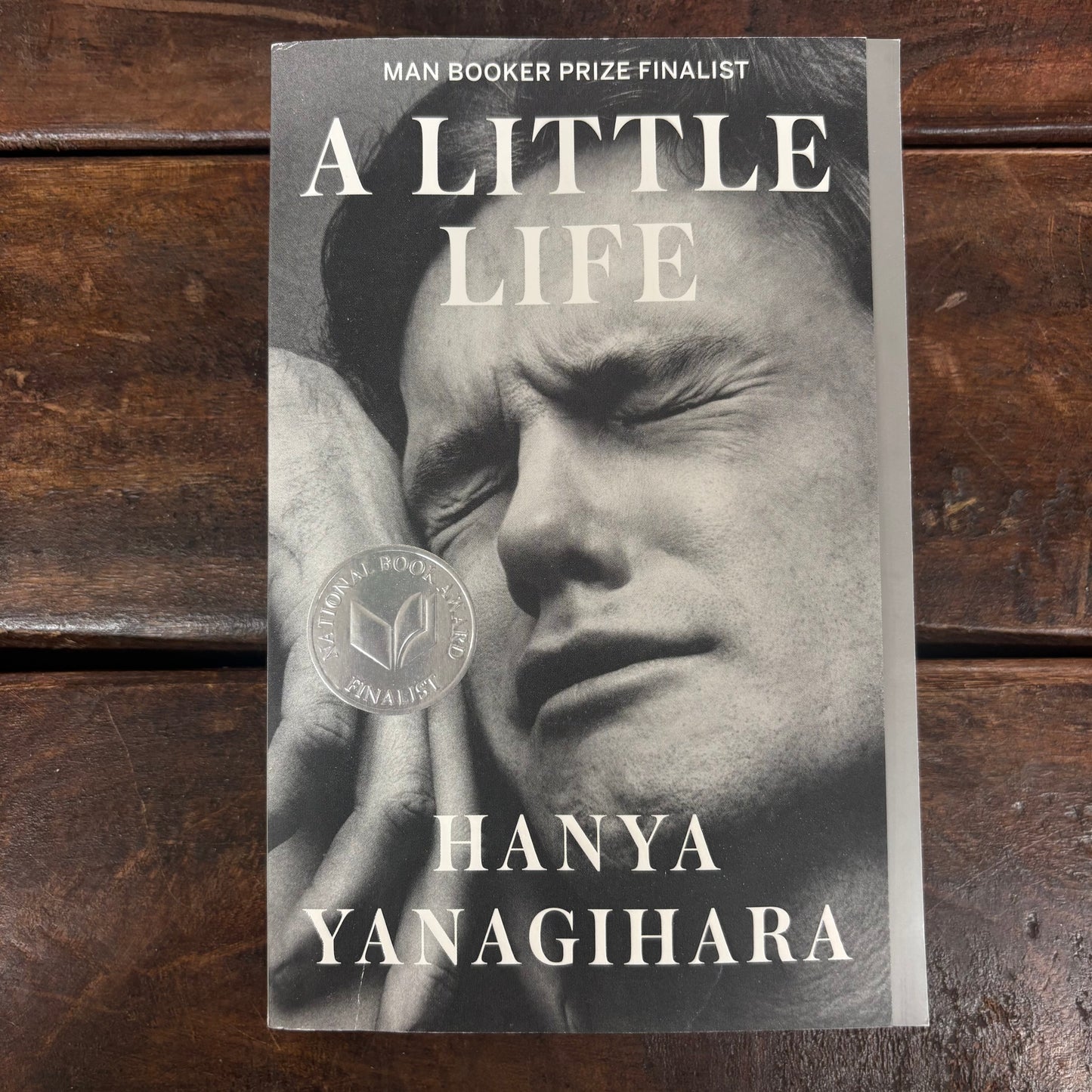 A Little Life - Hanya Yanagihara - AZB