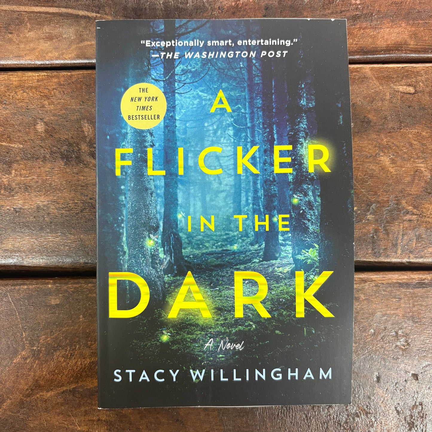 Flicker In The Dark - Stacy Willingham - AZB