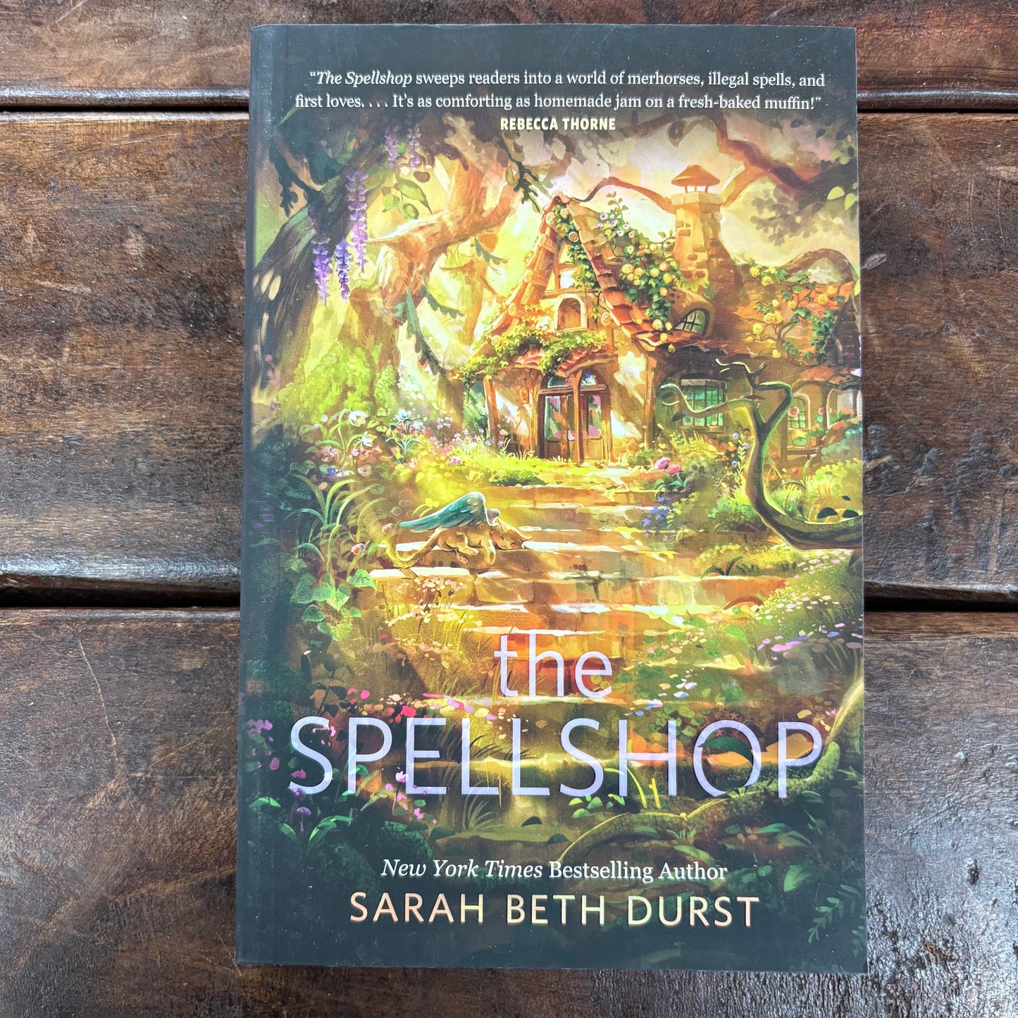The Spellshop - Sarah Beth Durst - Macmillan Publishers