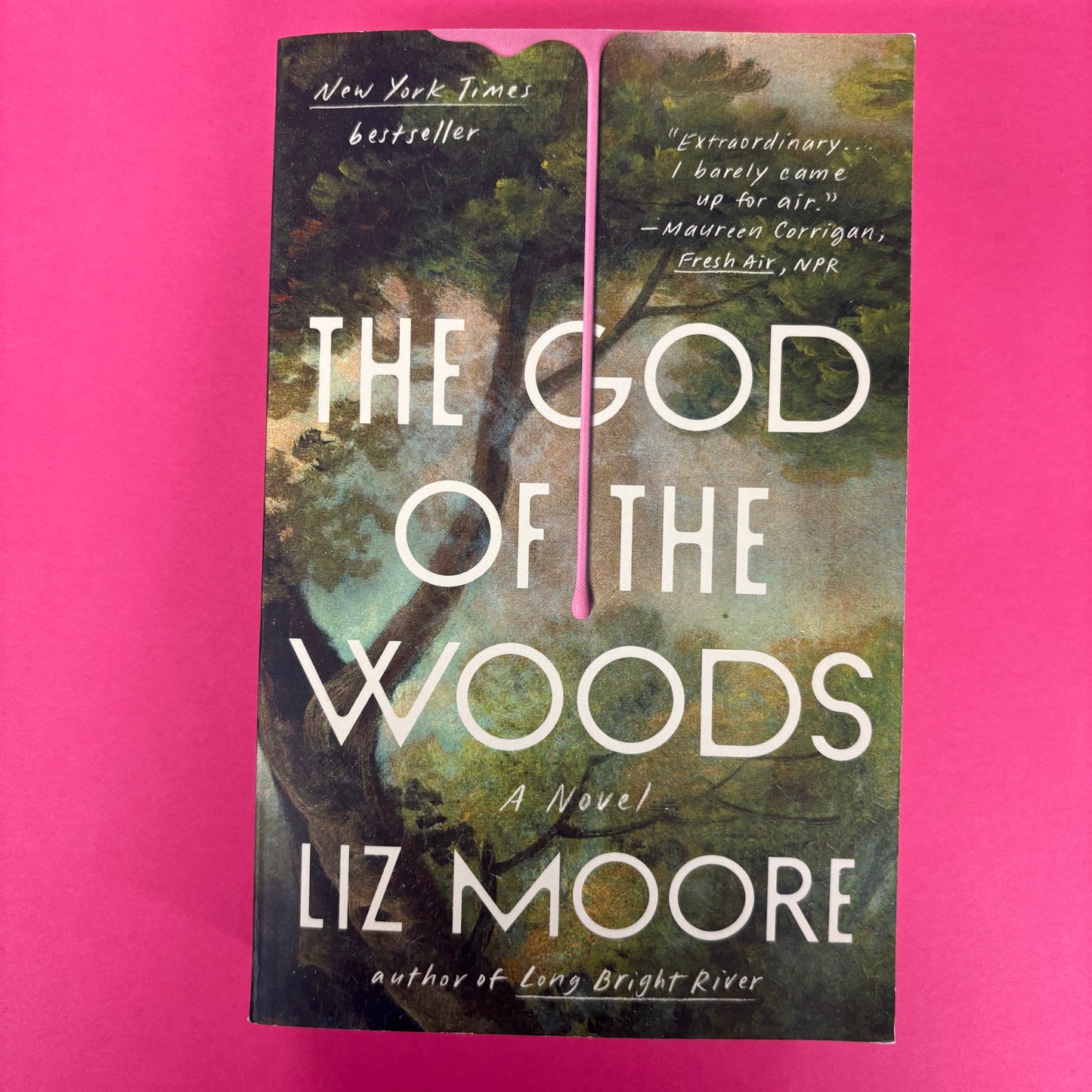 God Of The Woods - Liz Moore - AZB