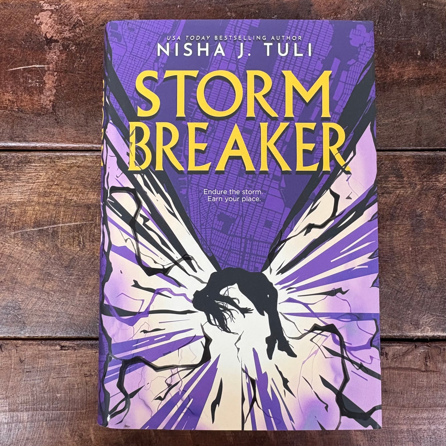 Storm Breaker - Nisha J. Tuli - AZB