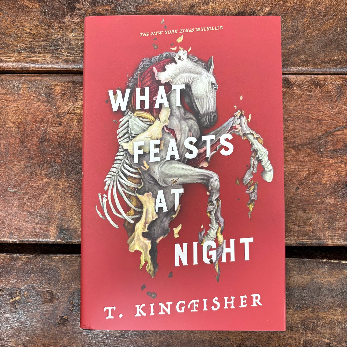 What Feasts At Night - T. Kingfisher - Macmillan Publishers
