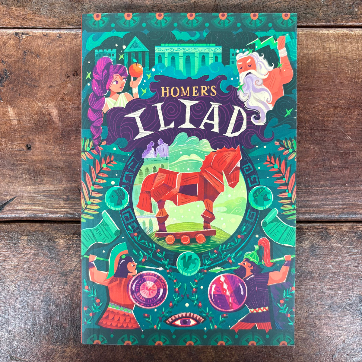 Homer's Iliad - Macmillan Publishers