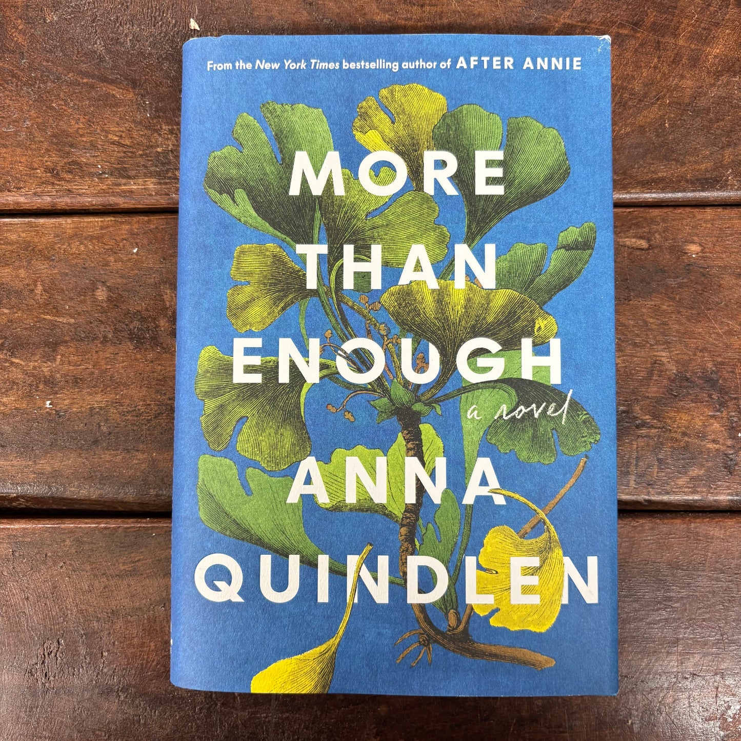 More Than Enough - Anna Quindlen - AZB