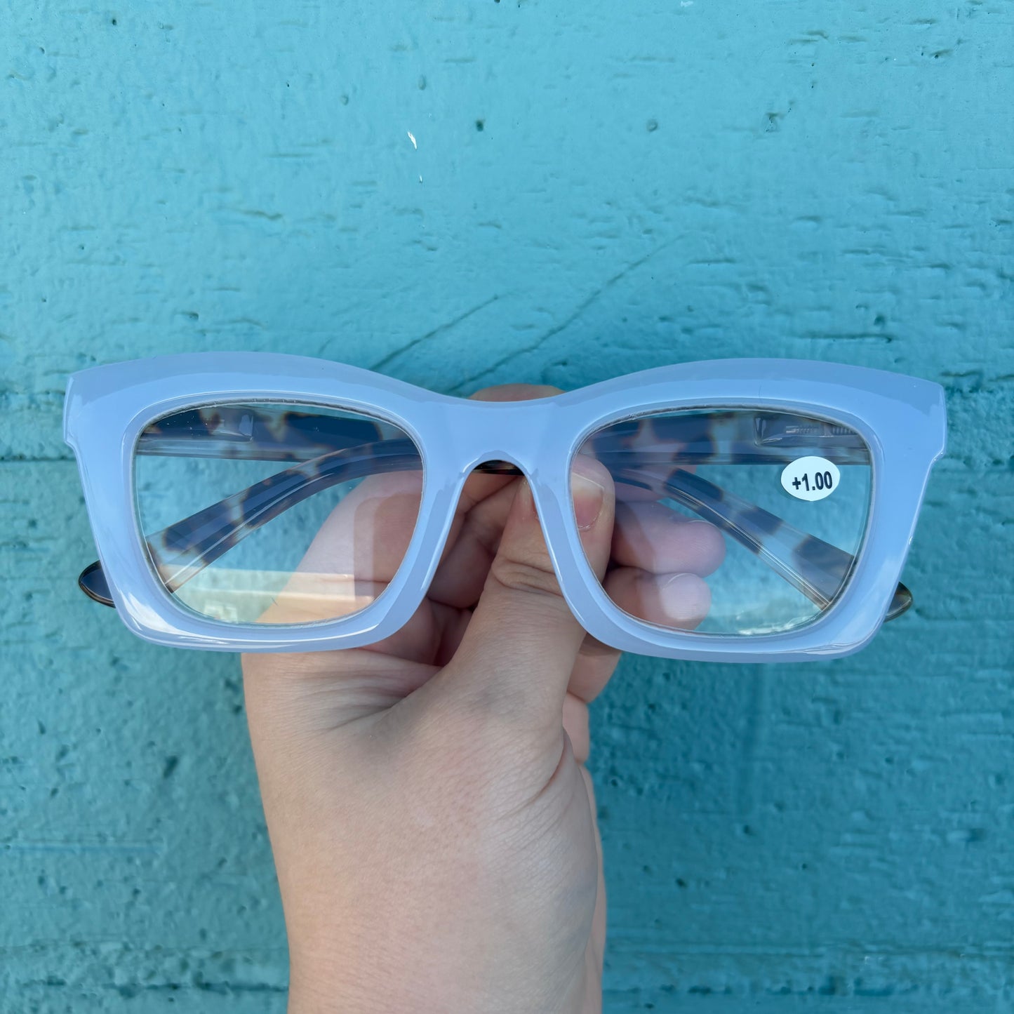 Jenn Blue Tortoise Readers - Mary Square