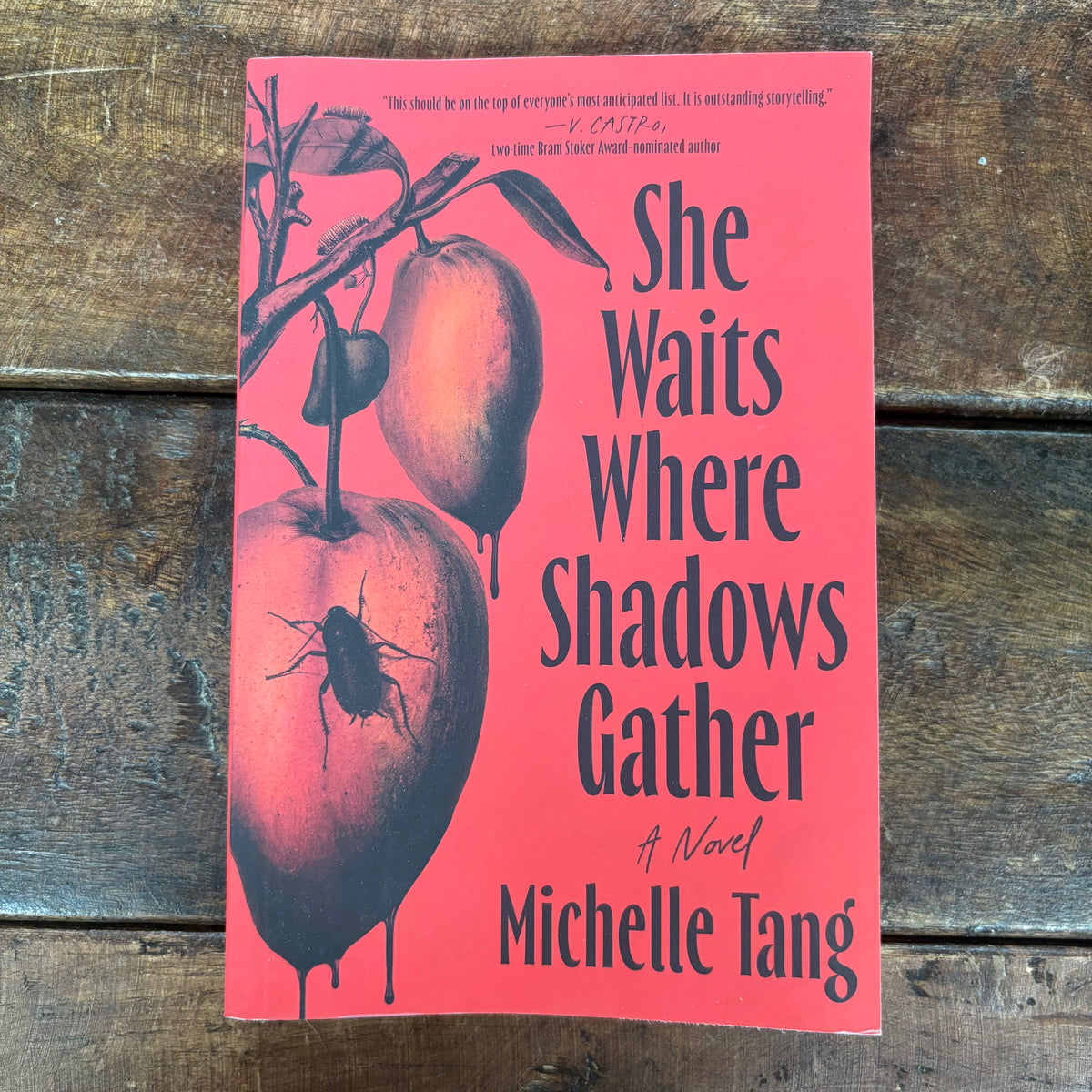 She Waits Where Shadows Gather - Michelle Tang - AZB