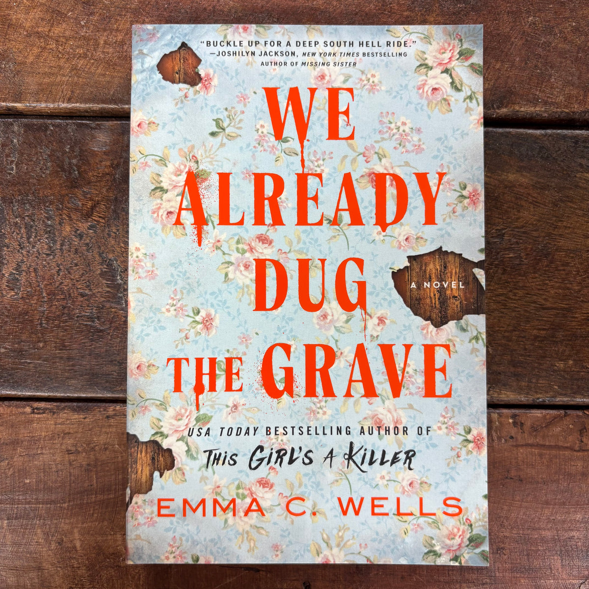 We Already Dug The Grave - Emma C. Wells - Sourcebooks