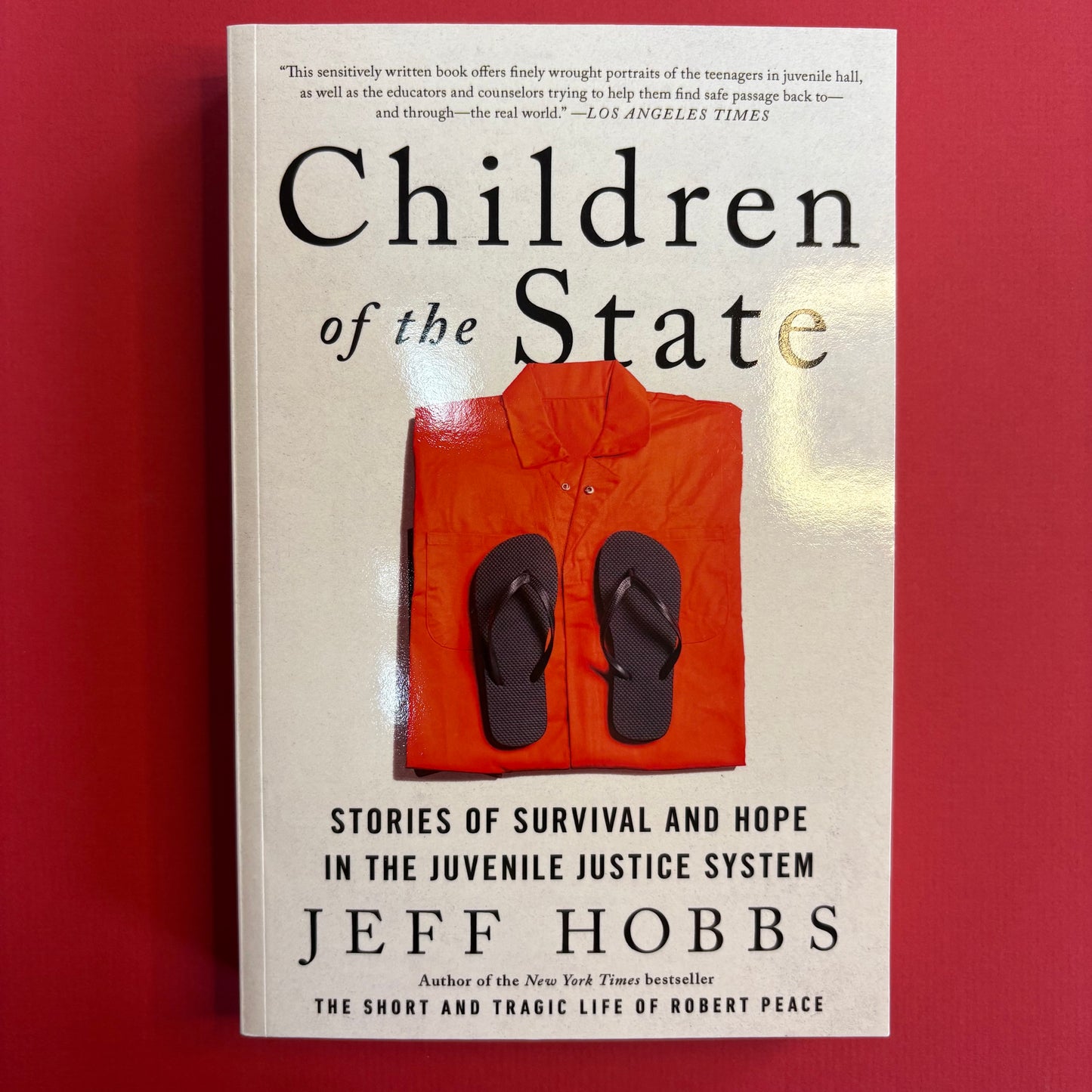 Children Of The State - Jeff Hobbs - Simon and Schuster