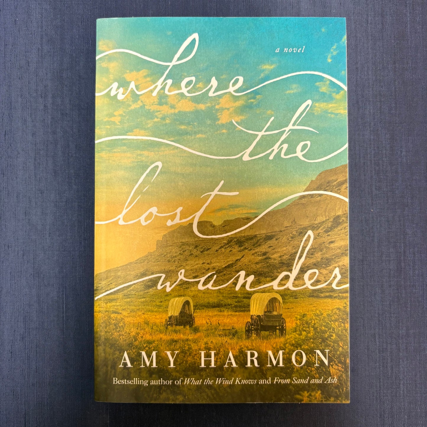 Where The Lost Wander - Amy Harmon - AZB