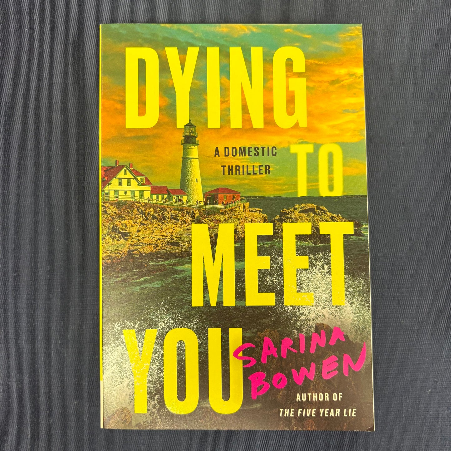 Dying To Meet You - Sarina Bowen - Harper Collins