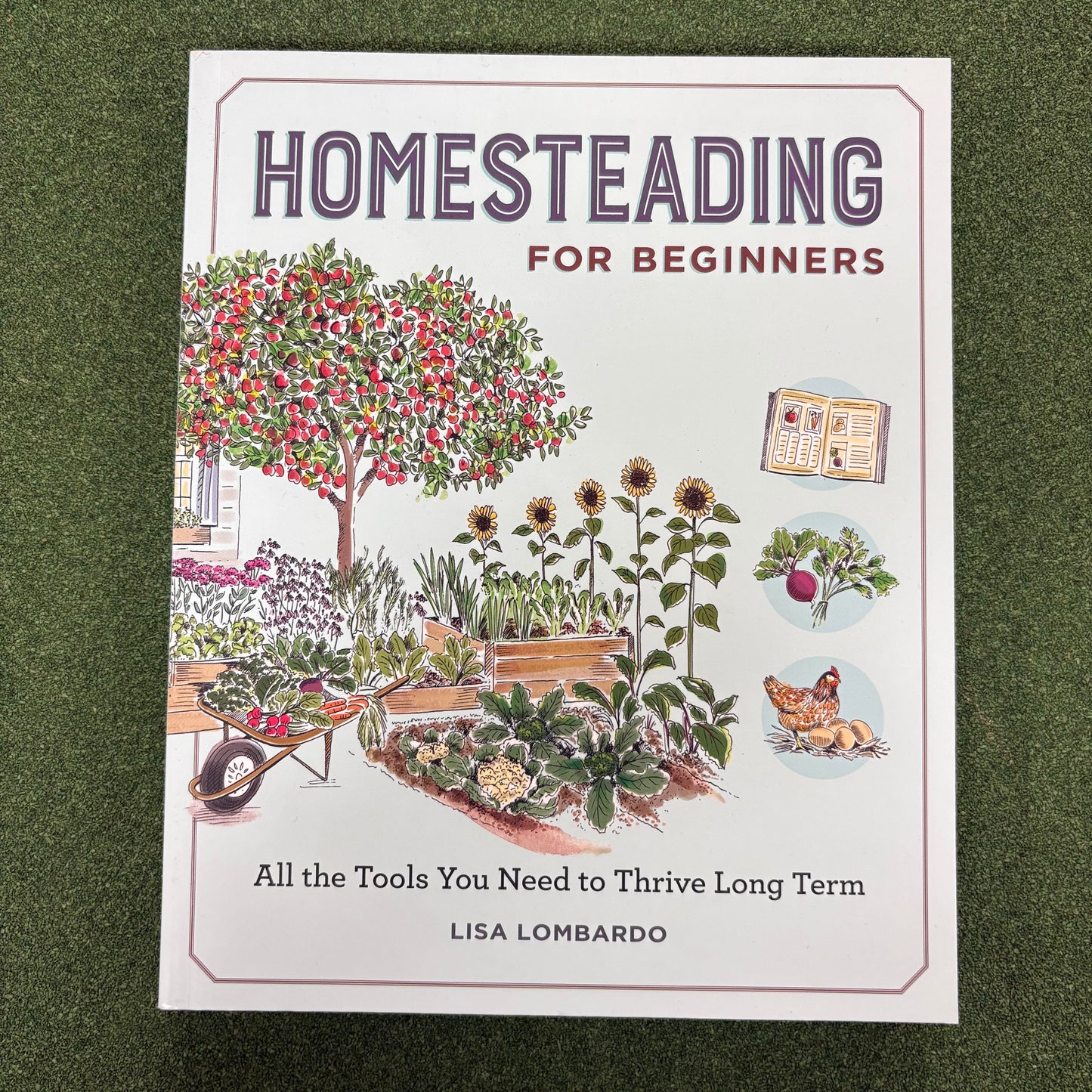 Homesteading For Beginners - Lisa Lombardo - Sourcebooks