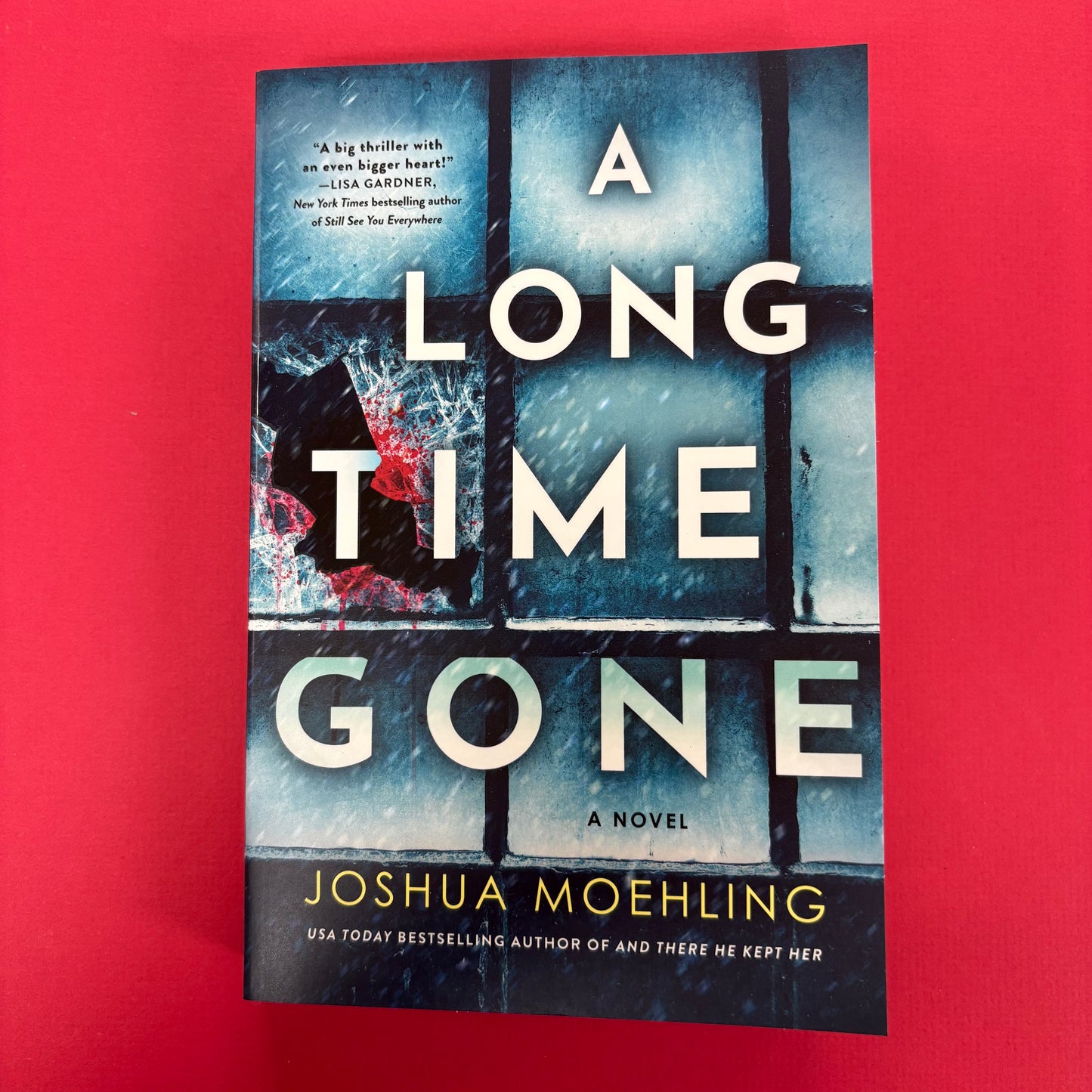 Long Time Gone - Joshua Moehling - Sourcebooks