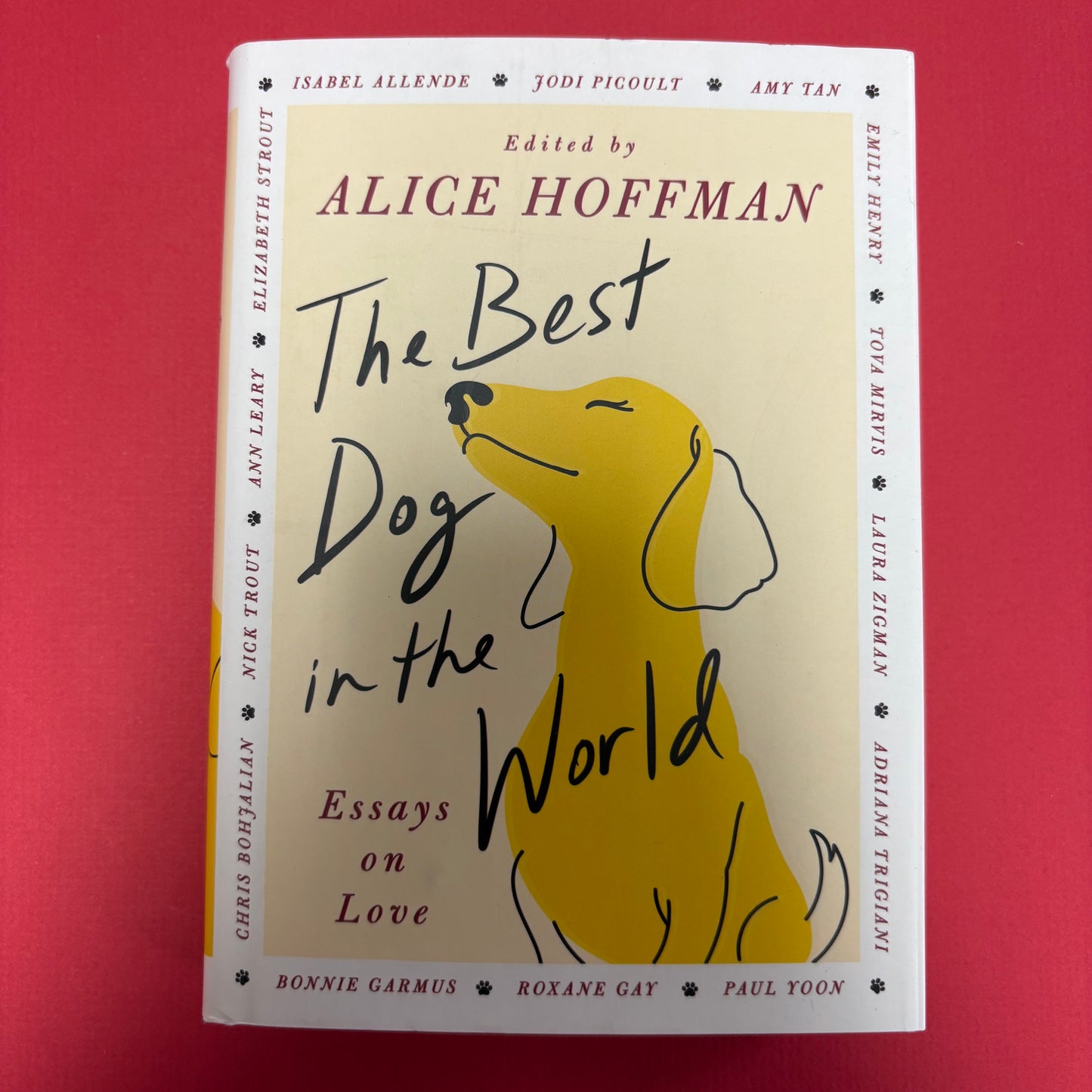 Best Dog In The World - Simon and Schuster