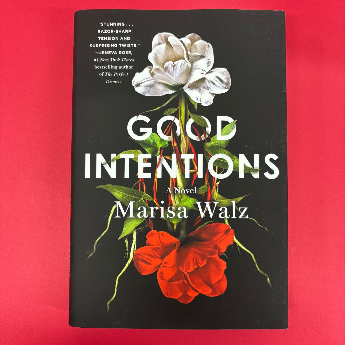 Good Intentions - Marisa Walz - Macmillan Publishers