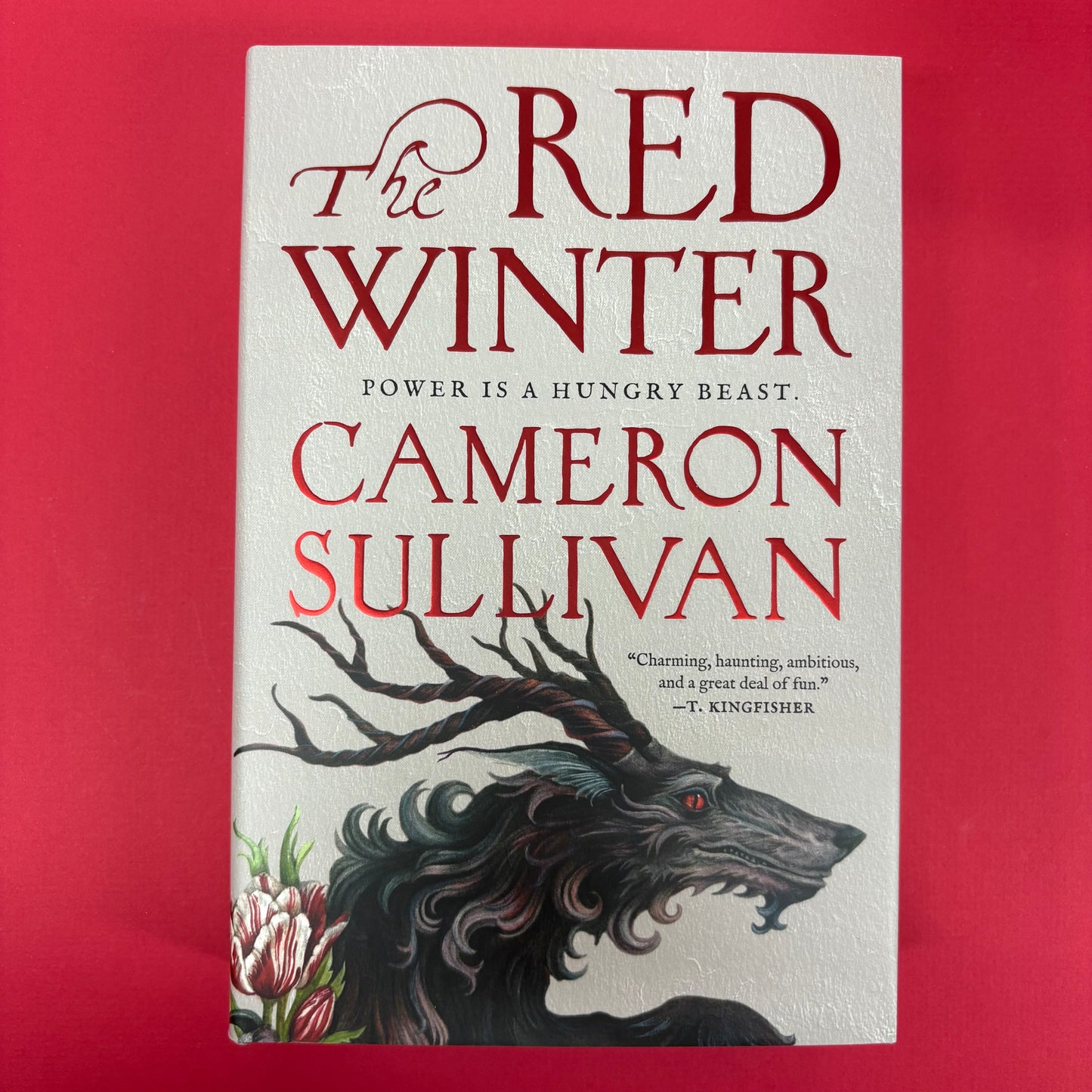 Red Winter - Cameron Sullivan - Macmillan Publishers
