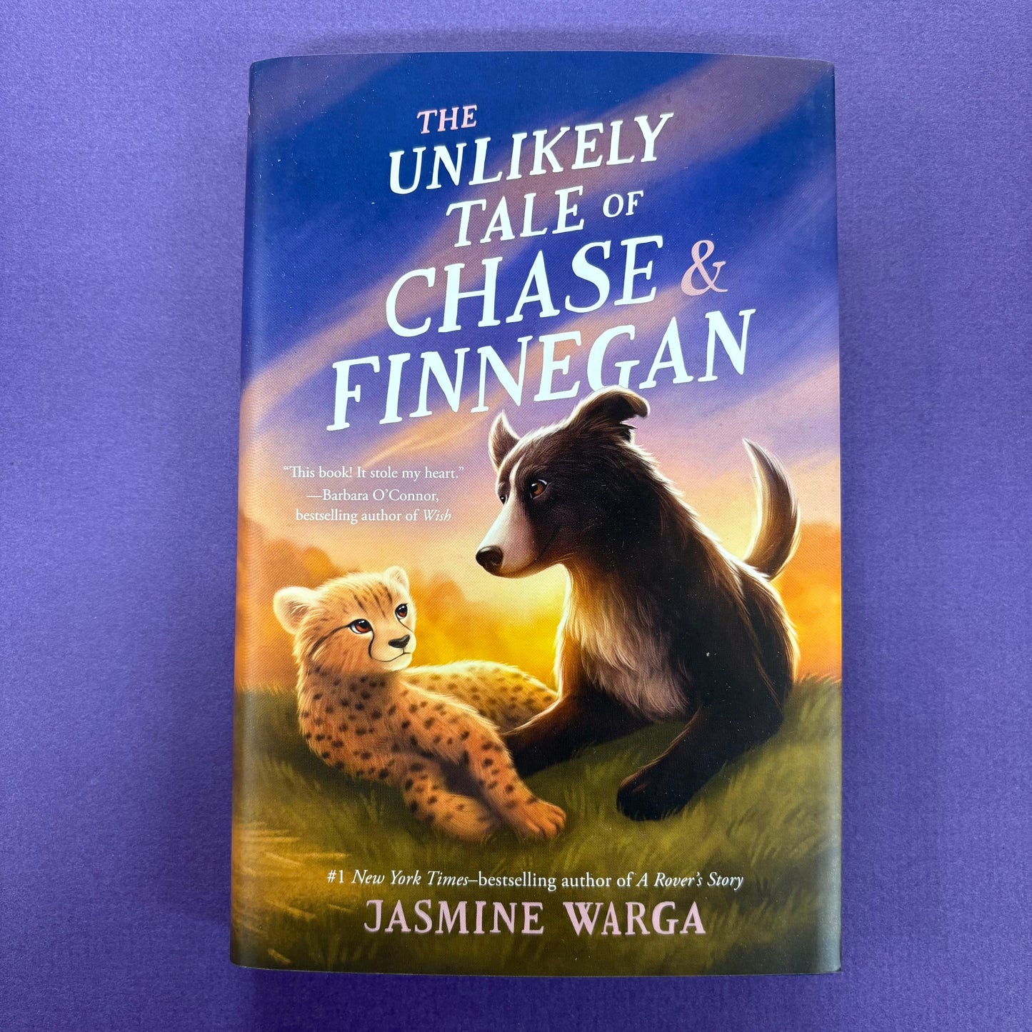 Unlikely Tale Of Chase and Finnegan - Jasmine Warga - Macmillan Publishers