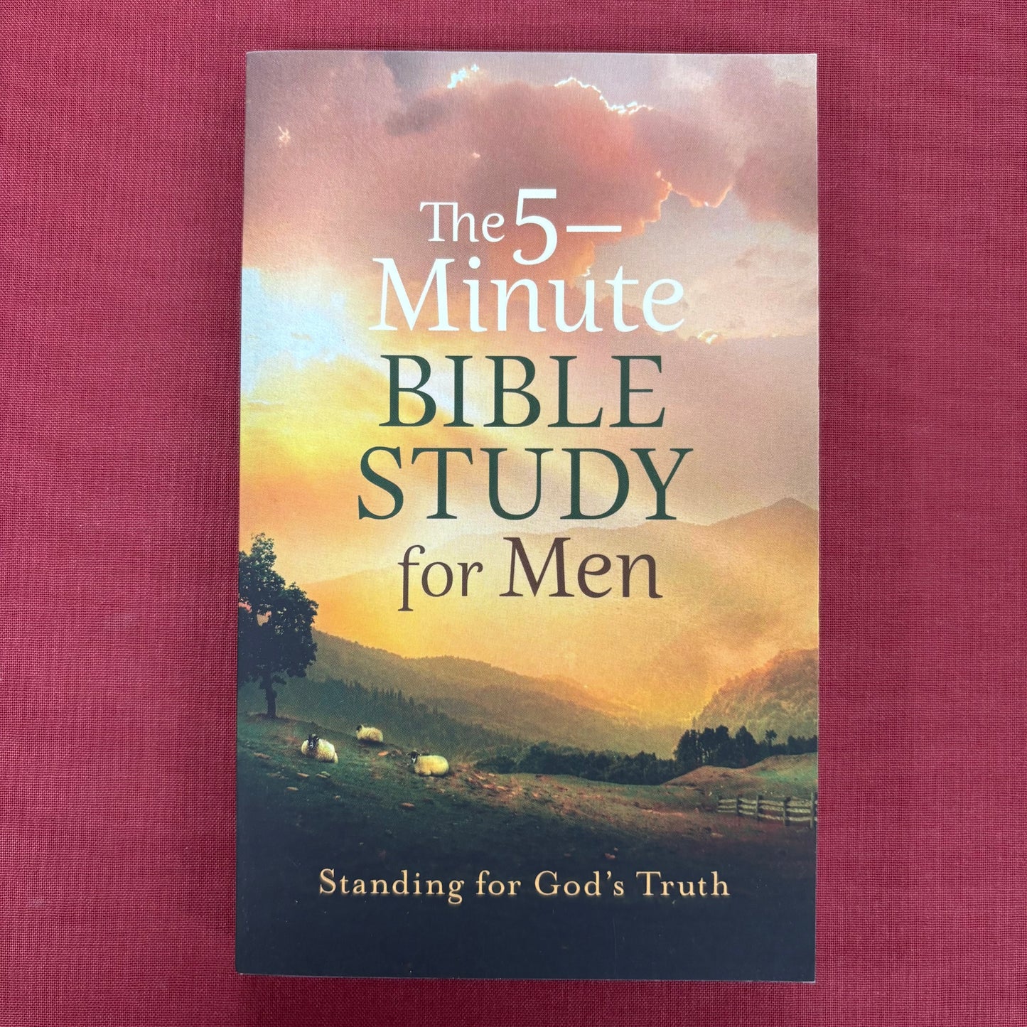 5-Minute Bible Study For Men - Barbour Publishing