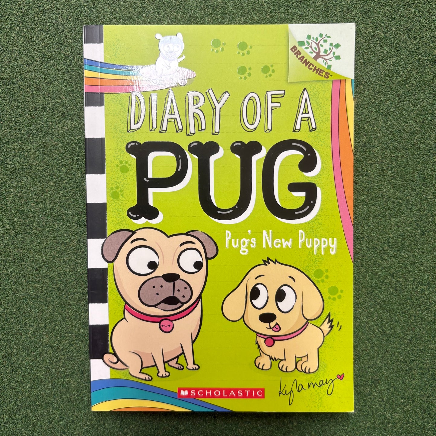 Diary Of A Pug - Pug's New Puppy - Kyla May - BKBY
