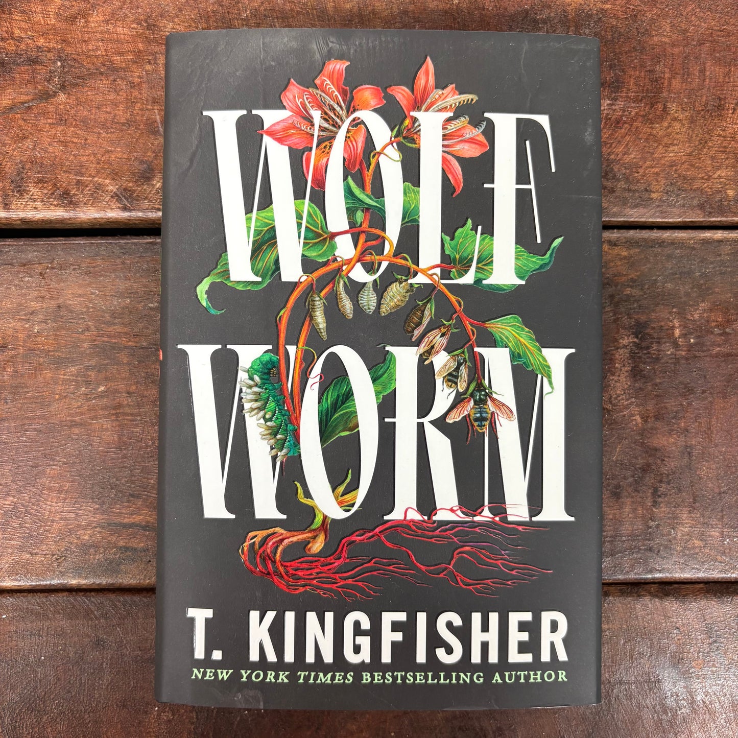 Wolf Worm - T. Kingfisher - Macmillan Publishers