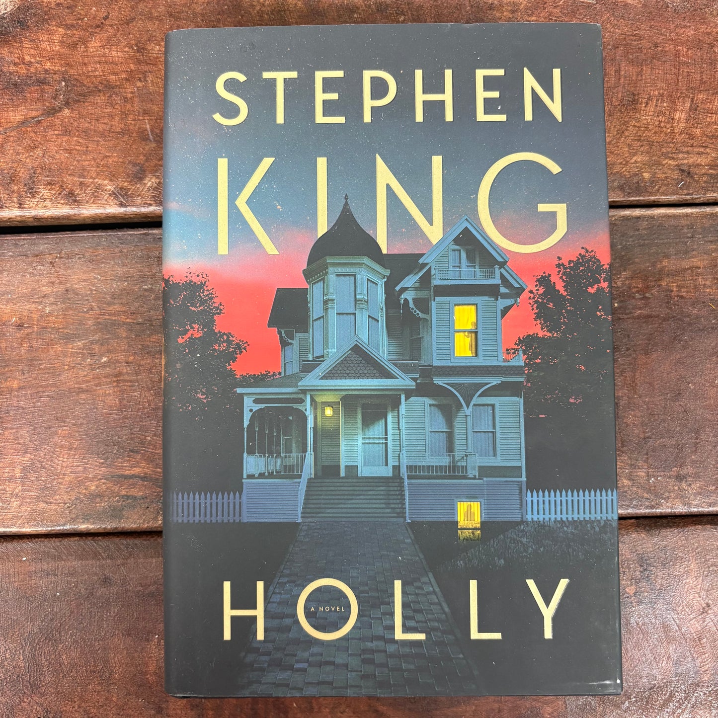 Holly - Stephen King - BKBY