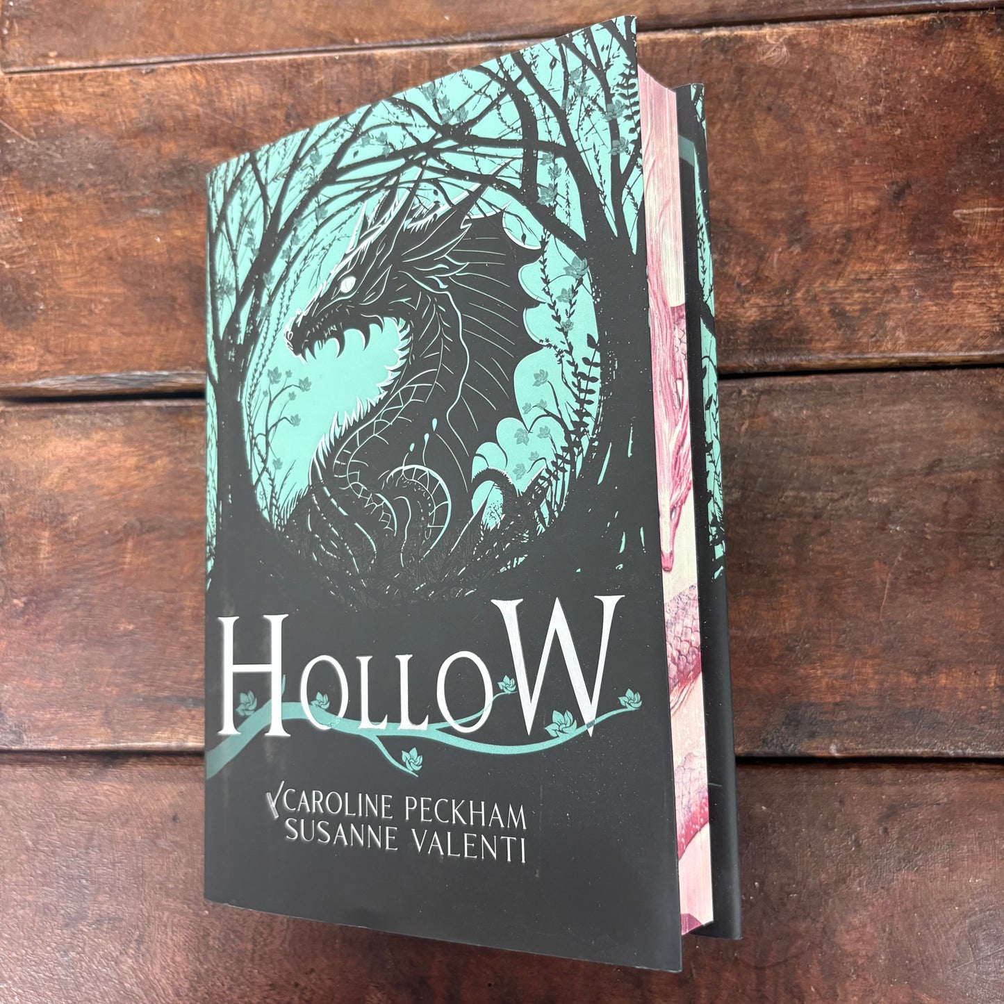 Hollow - Caroline Peckham and Susanne Valenti - Simon and Schuster
