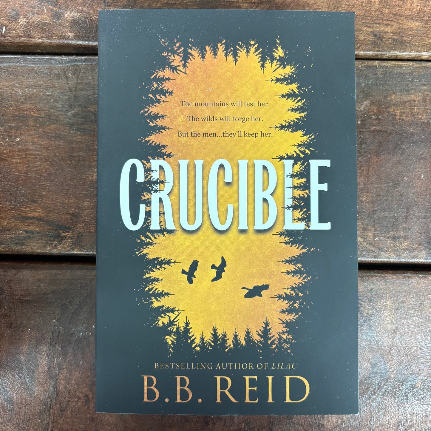 Crucible - B.B. Reid - Sourcebooks