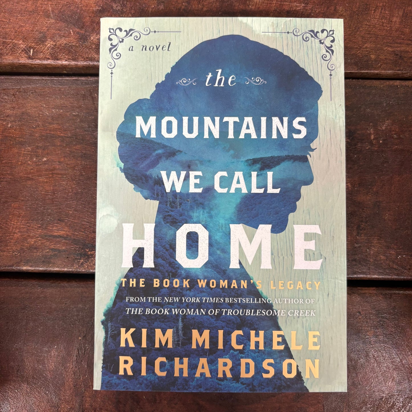 Mountains We Call Home - Kim Michele Richardson - Sourcebooks