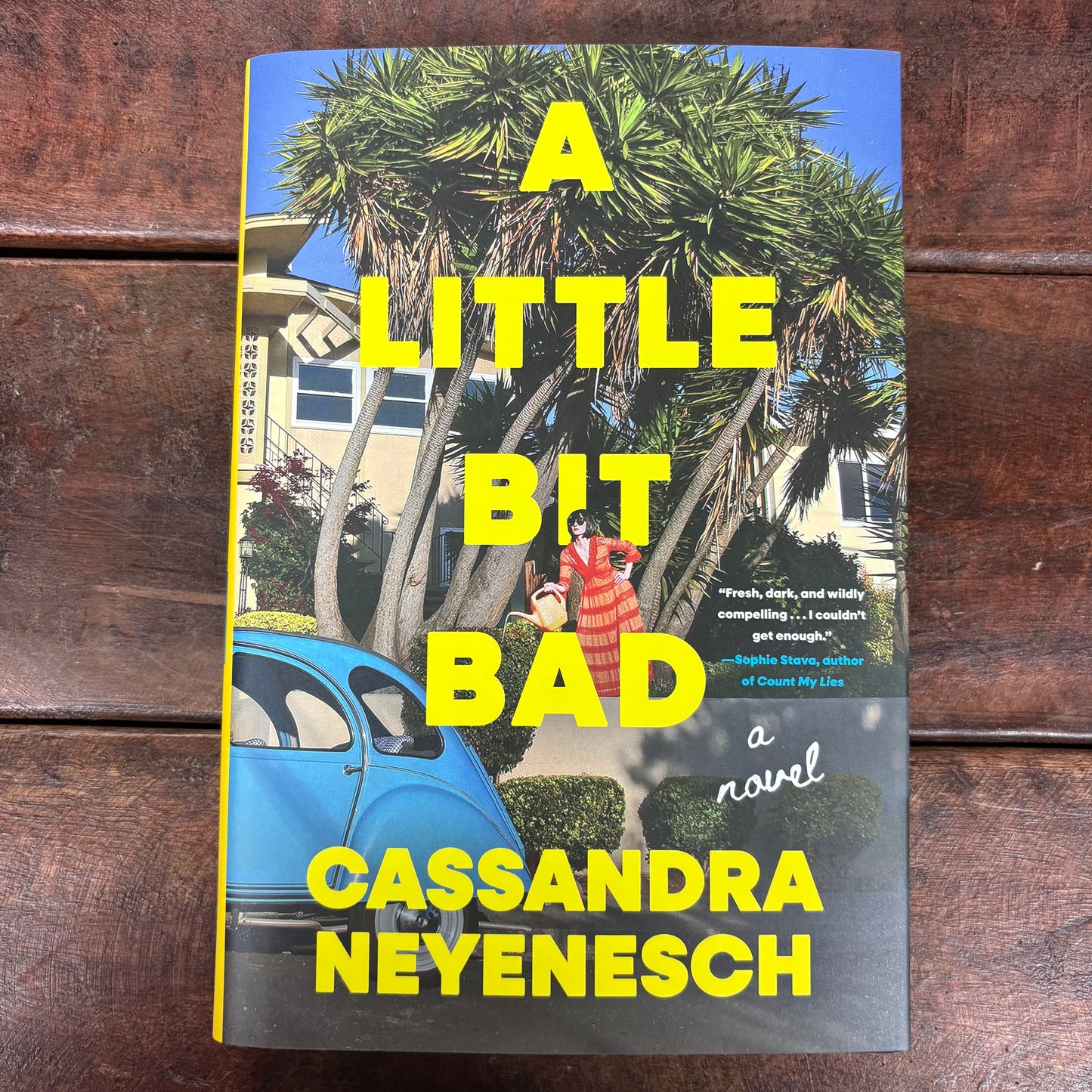 A Little Bit Bad - Cassandra Neyenesch - Simon and Schuster