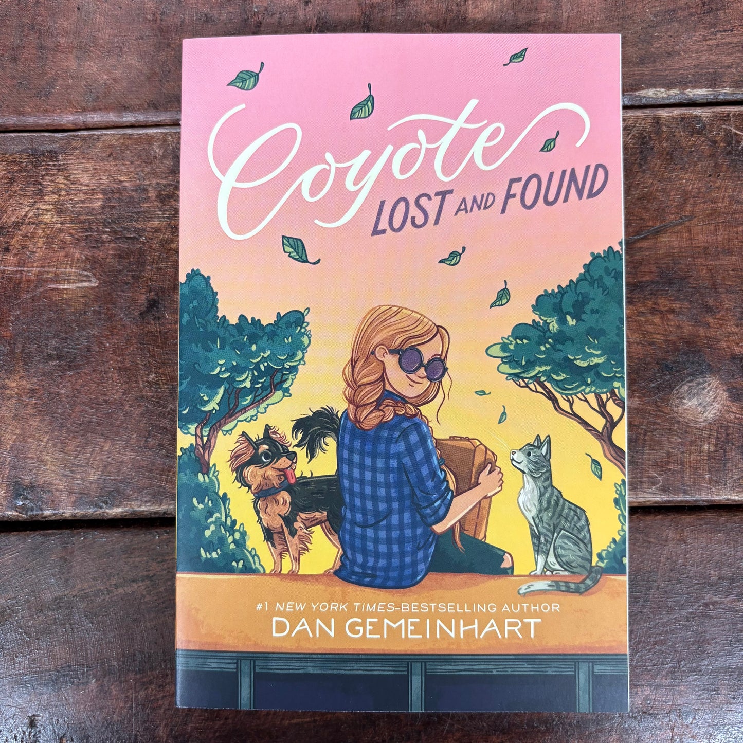 Coyote Lost and Found - Dan Gemeinhart - Macmillan Publishers