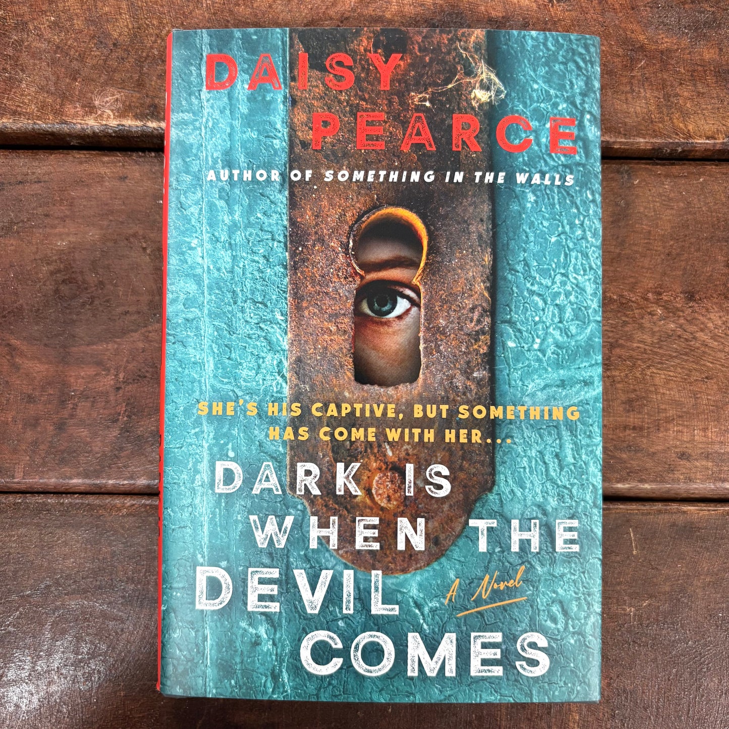 Dark Is When The Devil Comes - Daisy Pearce - Macmillan Publishers