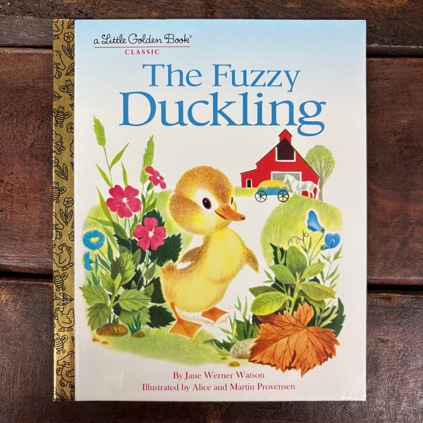 Fuzzy Duckling - LGB - Penguin Random House