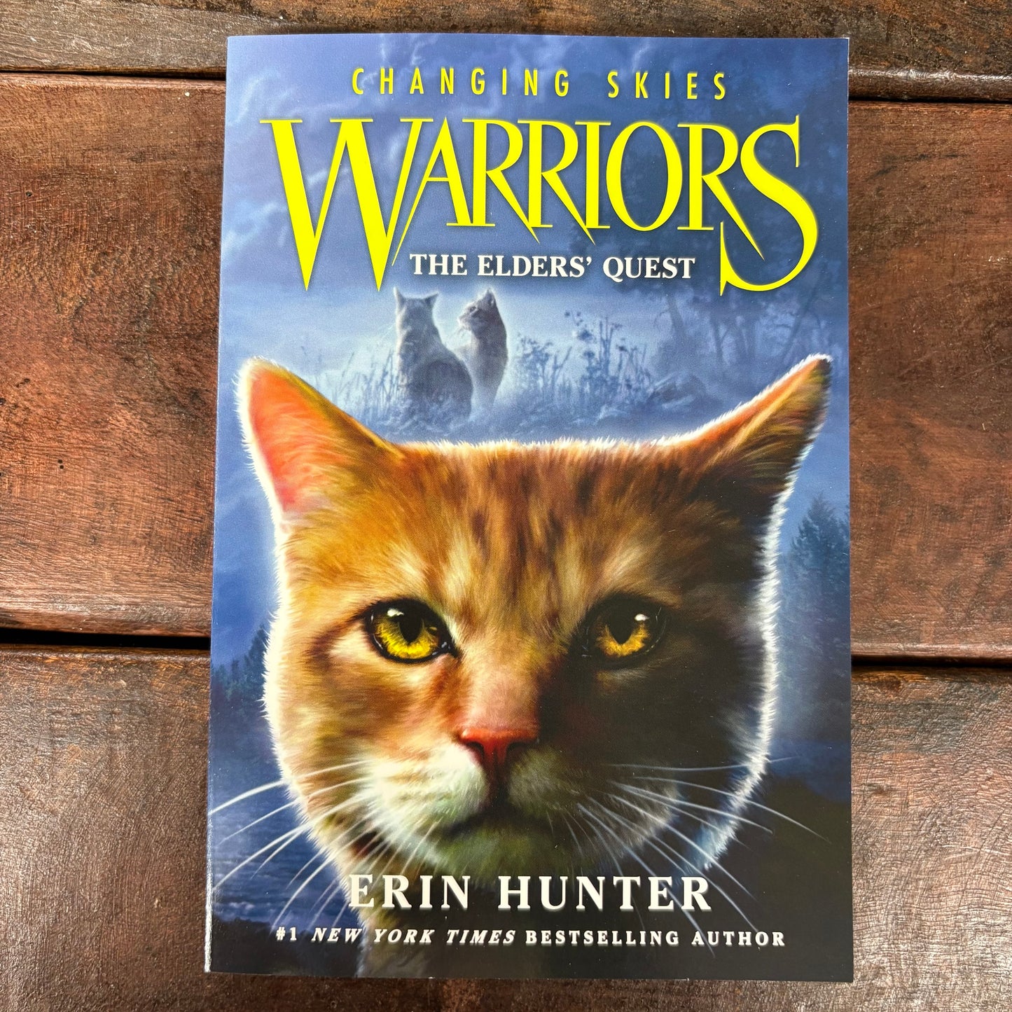 Warriors: Changing Skies - Erin Hunter - Harper Collins
