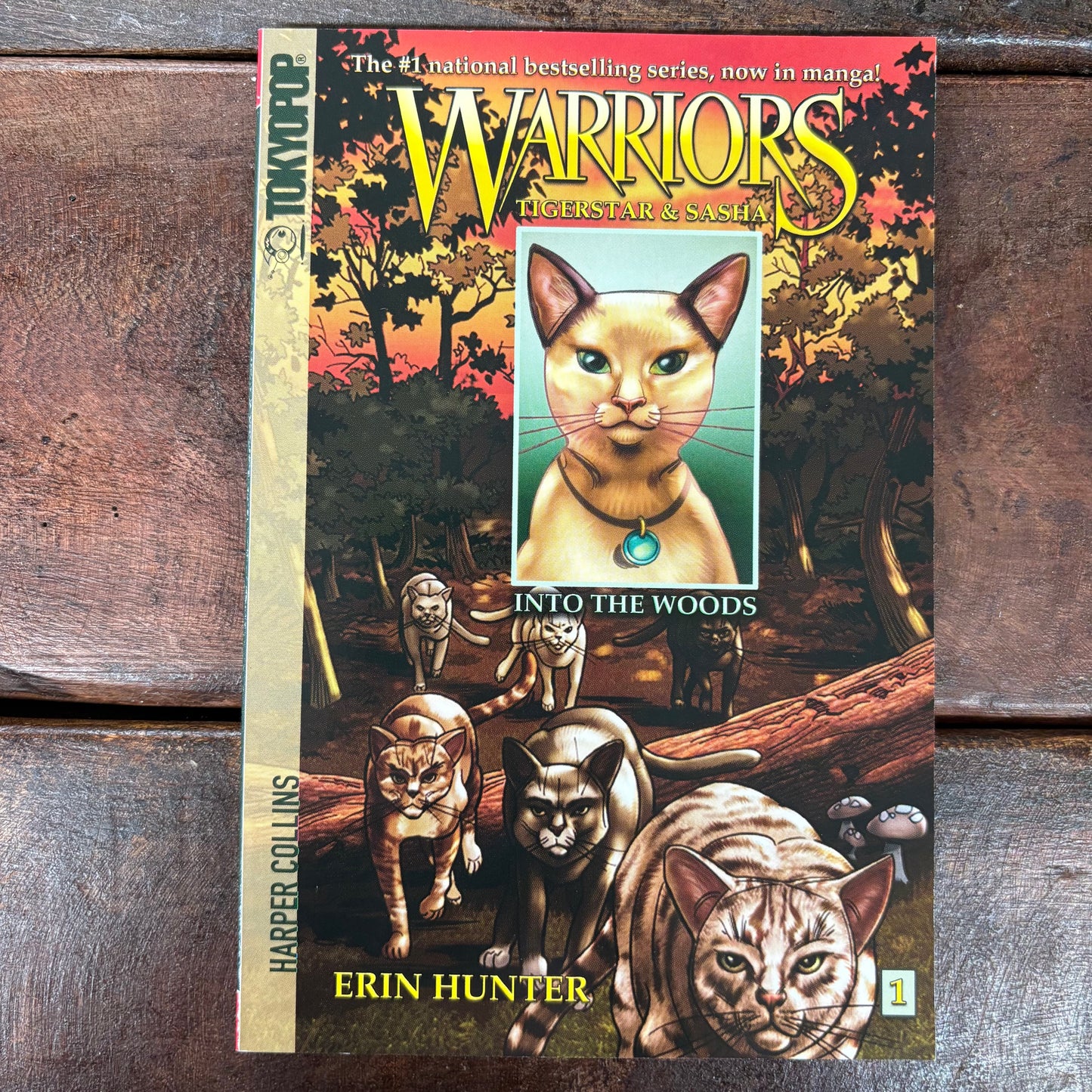 Warriors: Tigerstar and Sasha - Erin Hunter - Harper Collins