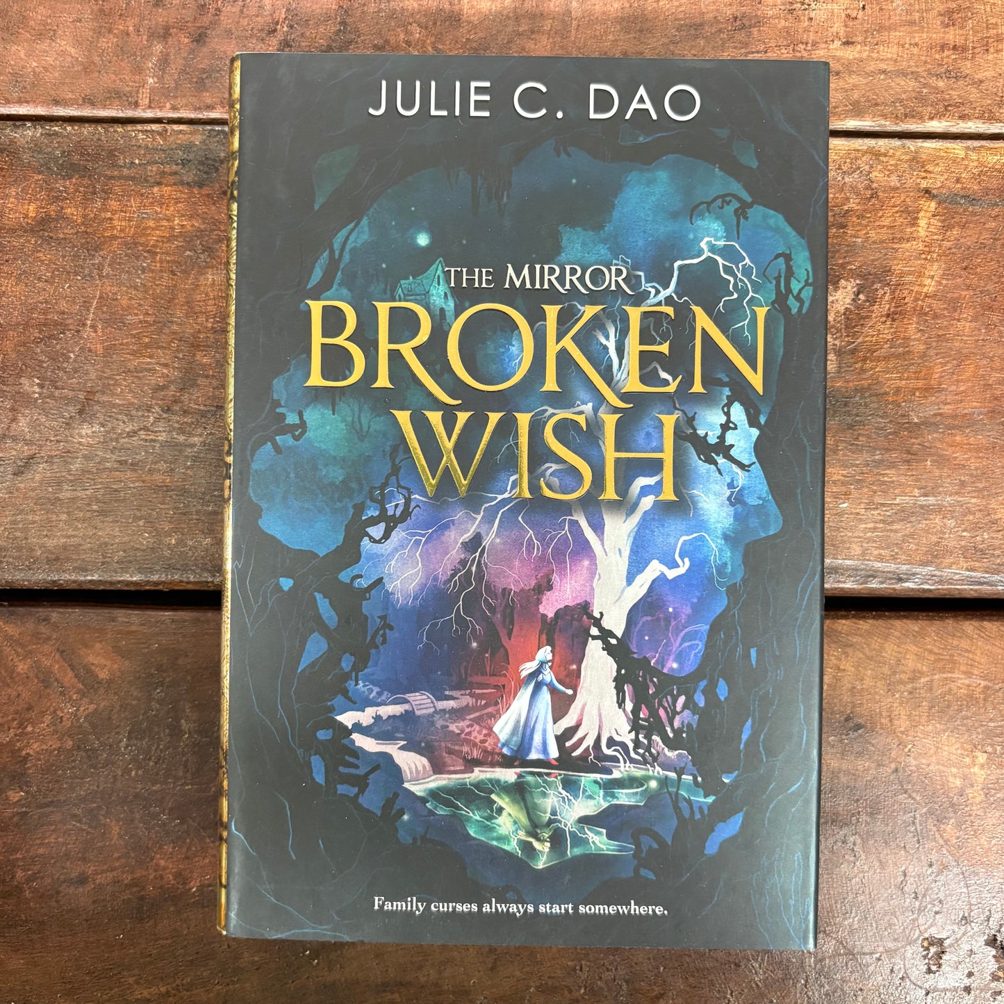Broken Wish - Julie C. Dao - BKBY