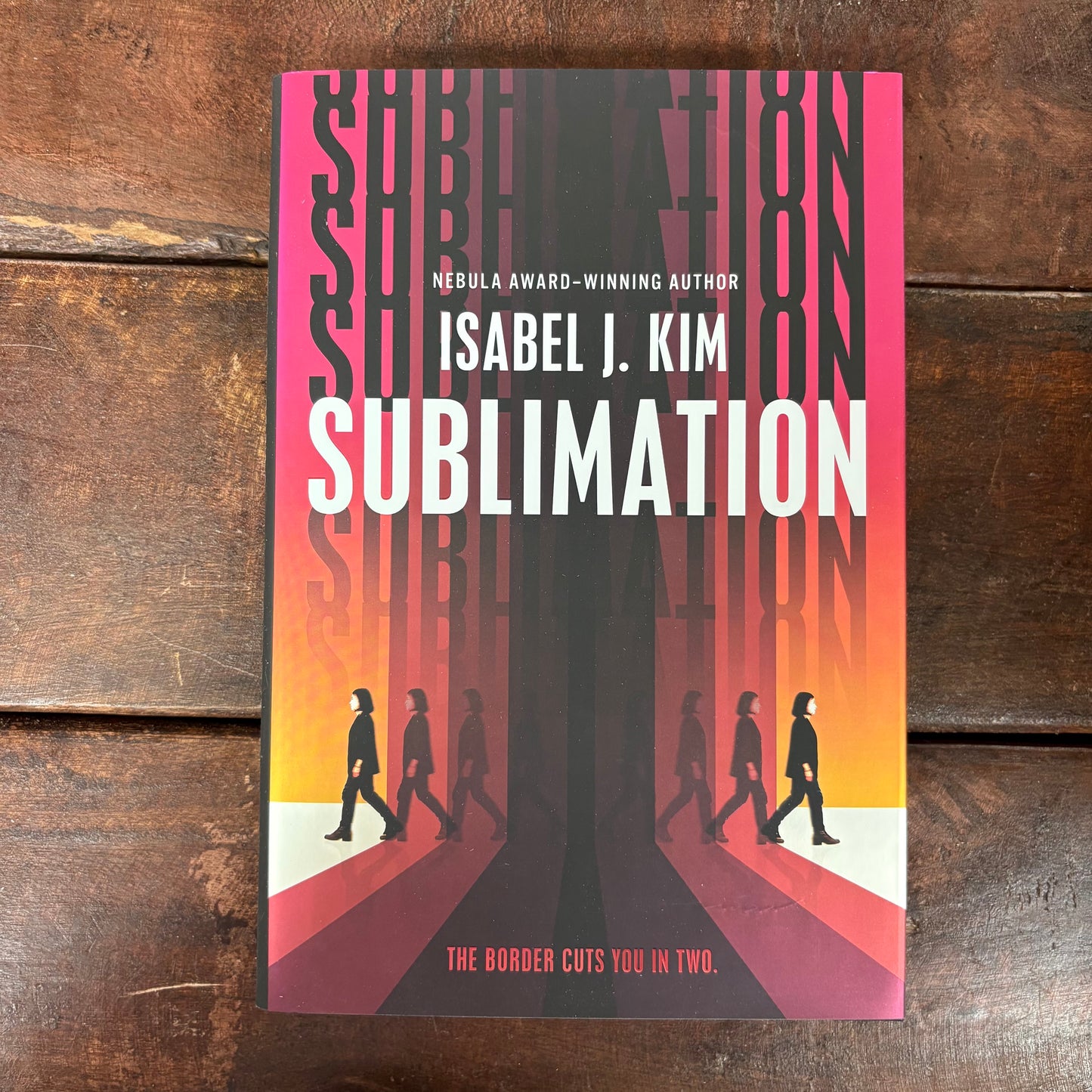 Sublimation - Isabel J. Kim - Macmillan Publishers