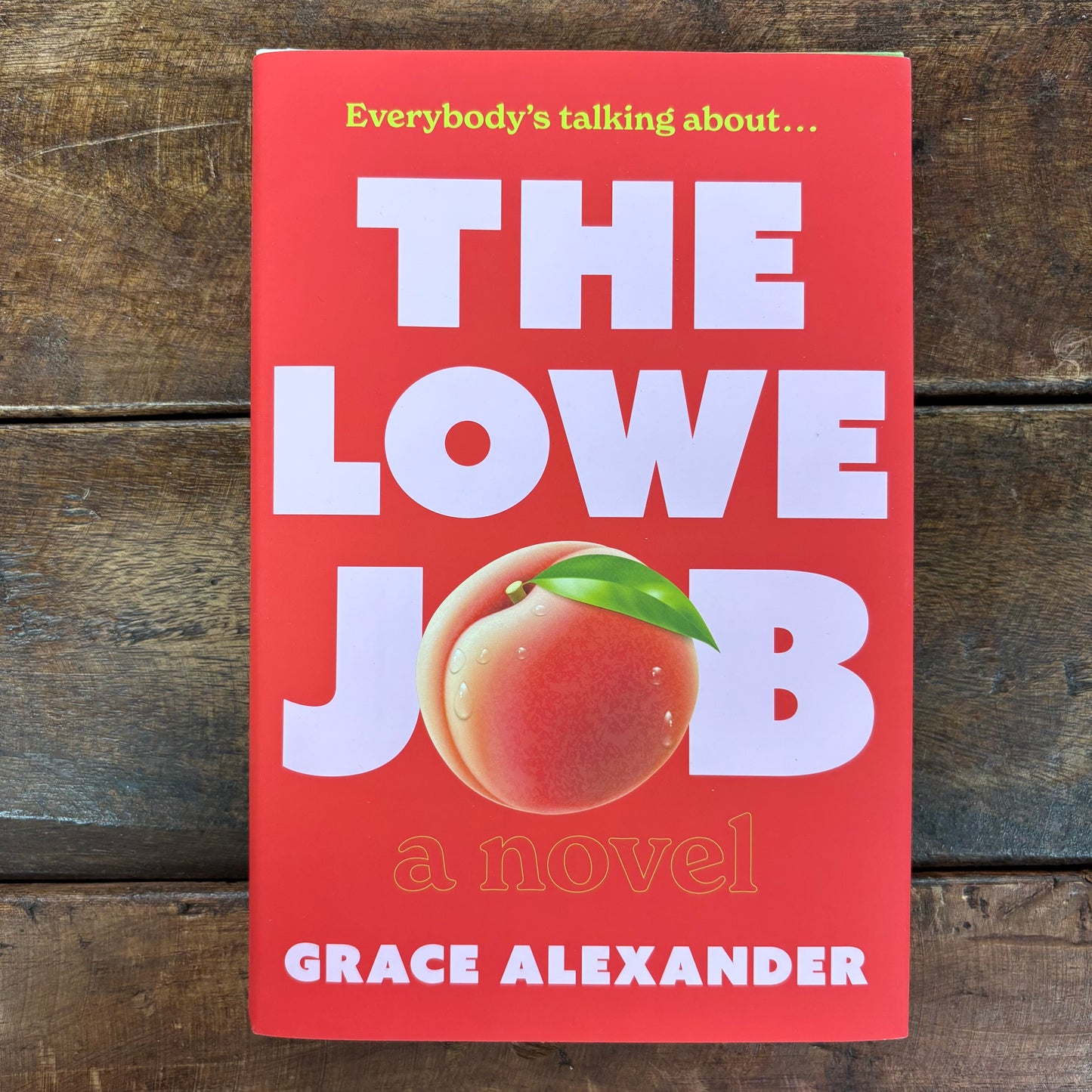 Lowe Job - Grace Alexander - Harper Collins