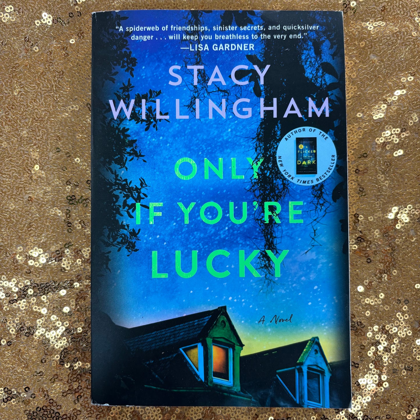 Only If You're Lucky - Stacy Willingham - BOUT