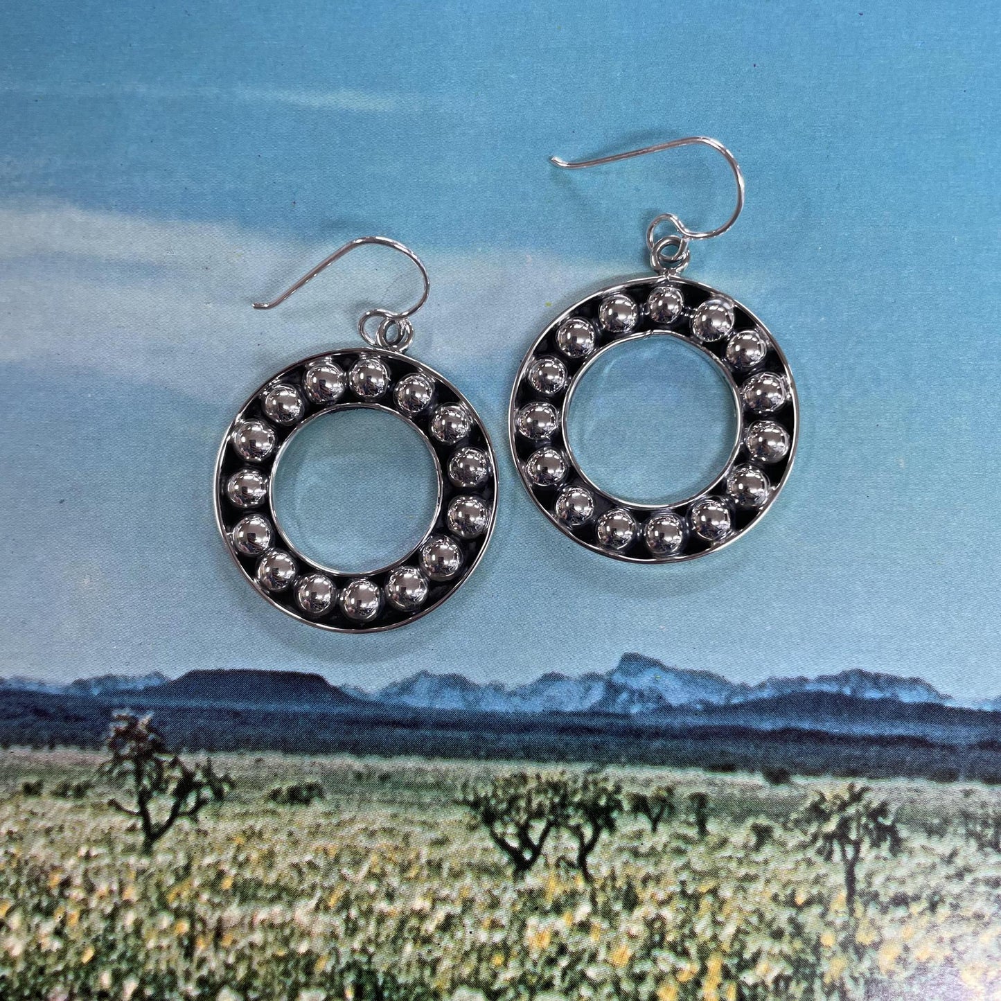 Circle Ball Hook Earrings - Boho Sol