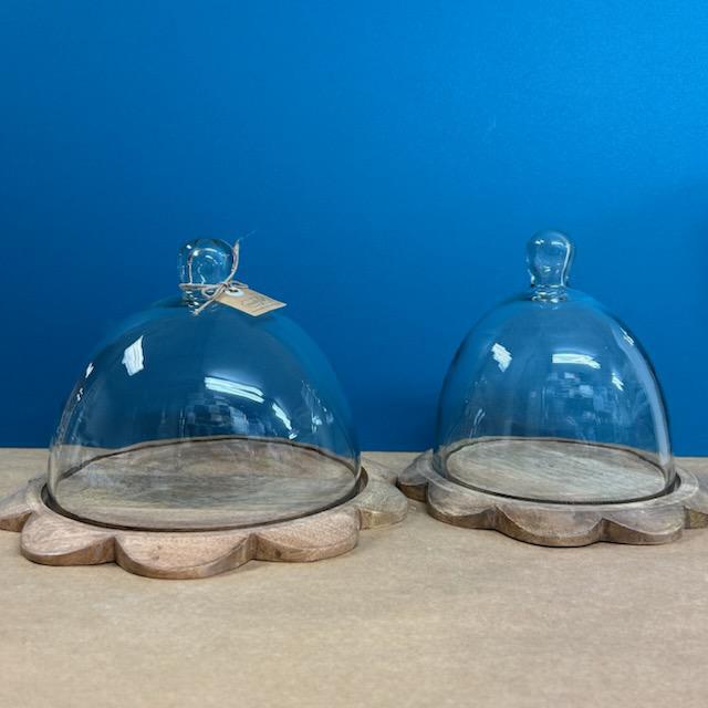 Scallop Cloche Medium- Mud Pie